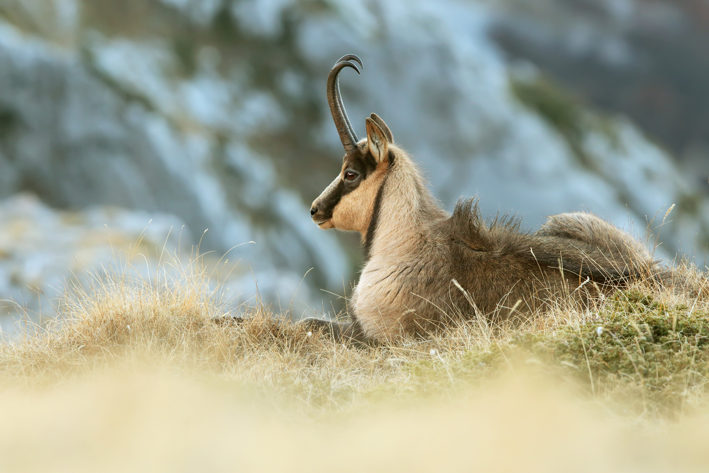 Il riposo del guerriero