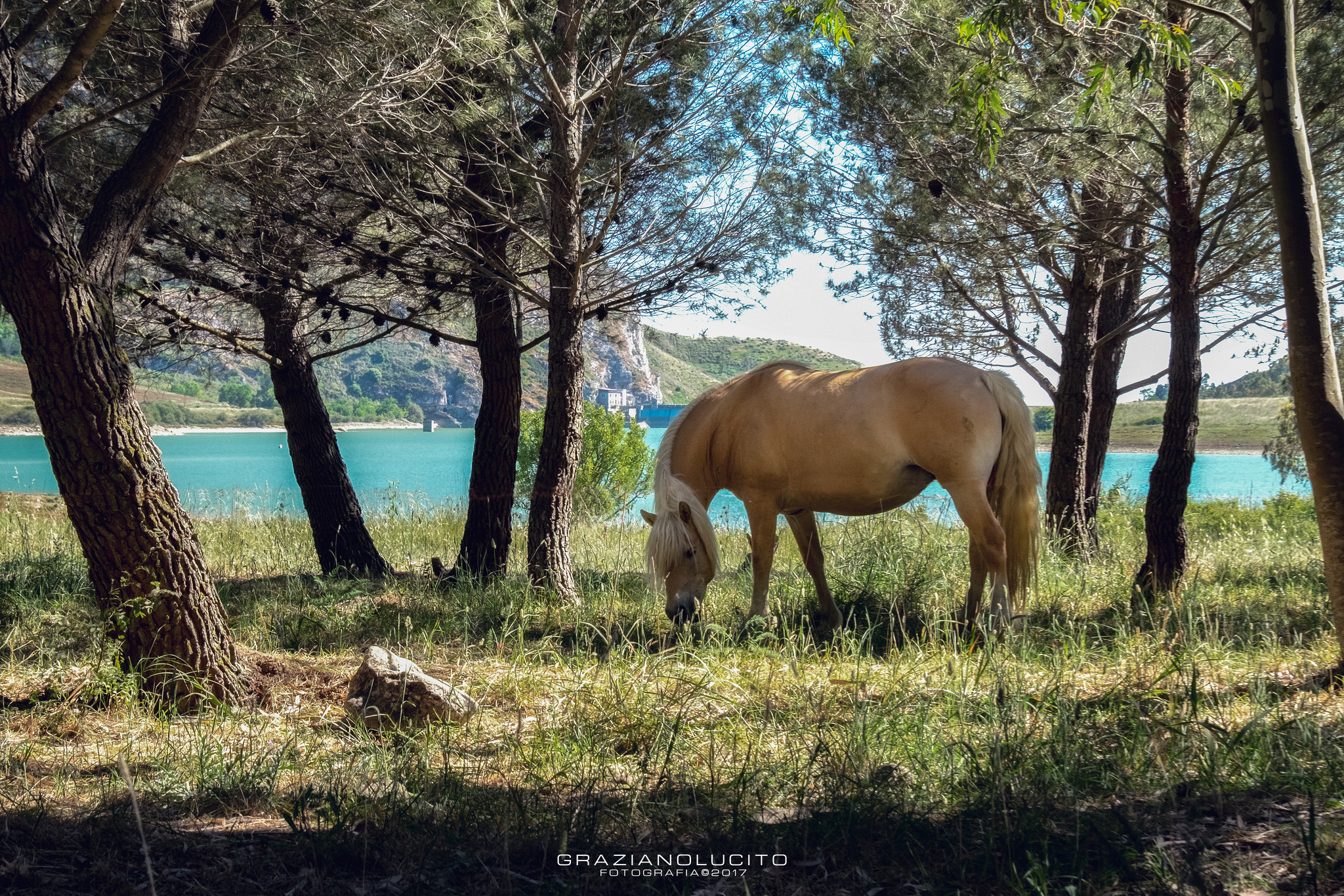 Oasi lago di Piana degli Albanesi