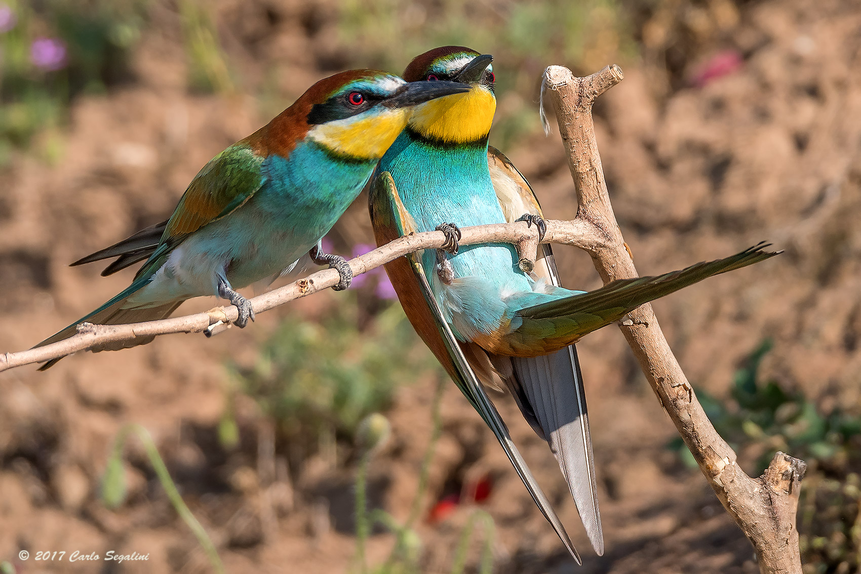 Exercises at the bar
