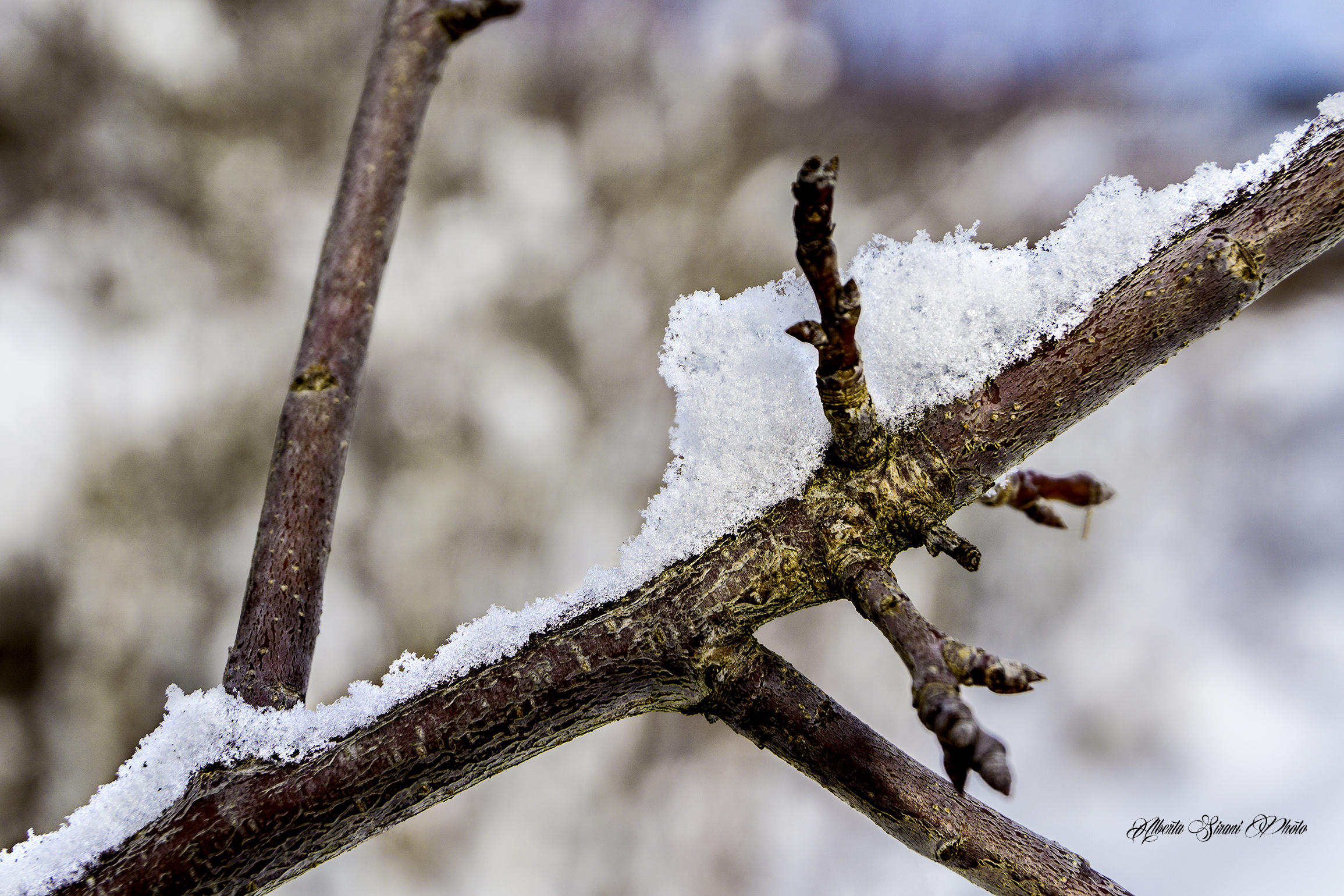 Snow crystals