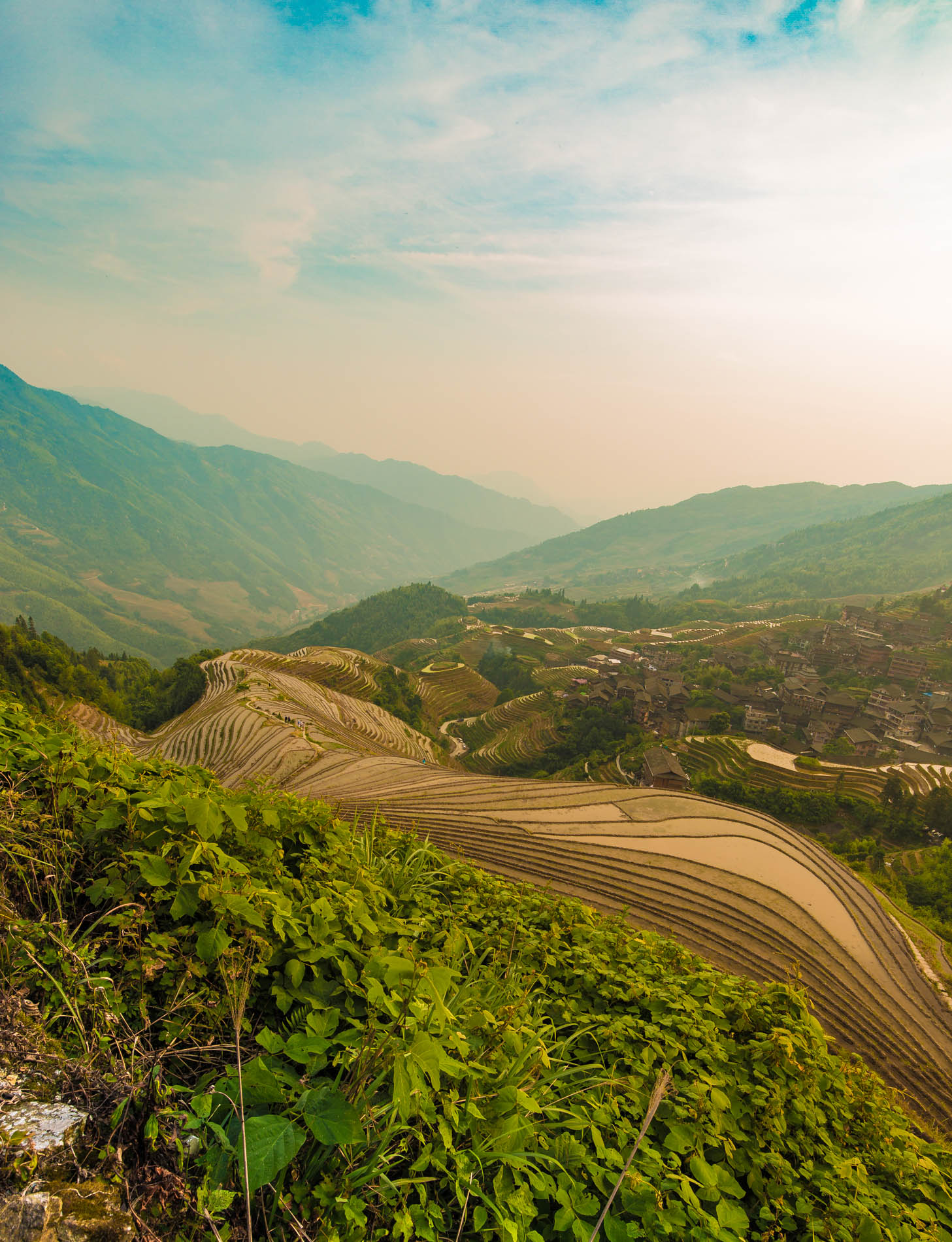 The Dragon's Back (Longji) - Terraced Risels