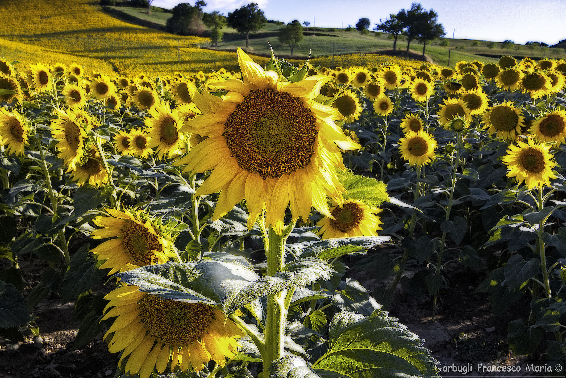 I'm the tallest ..... and you're paperin '