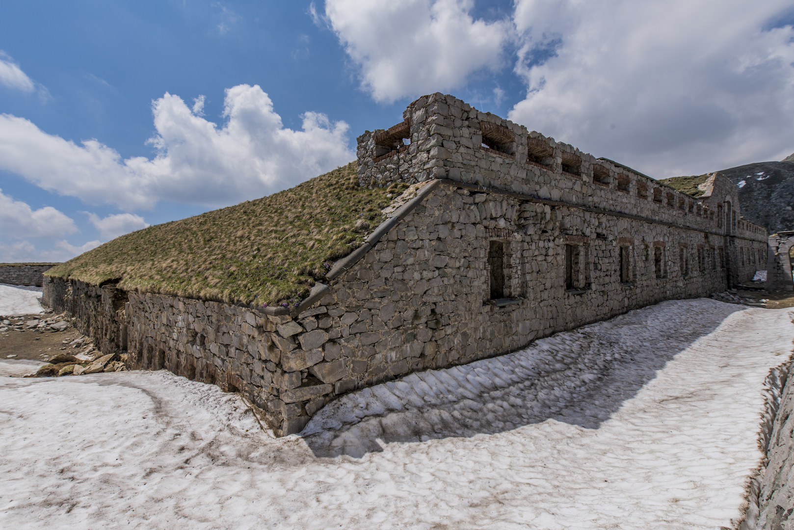 Strong Giaura, Lemon Piedmont