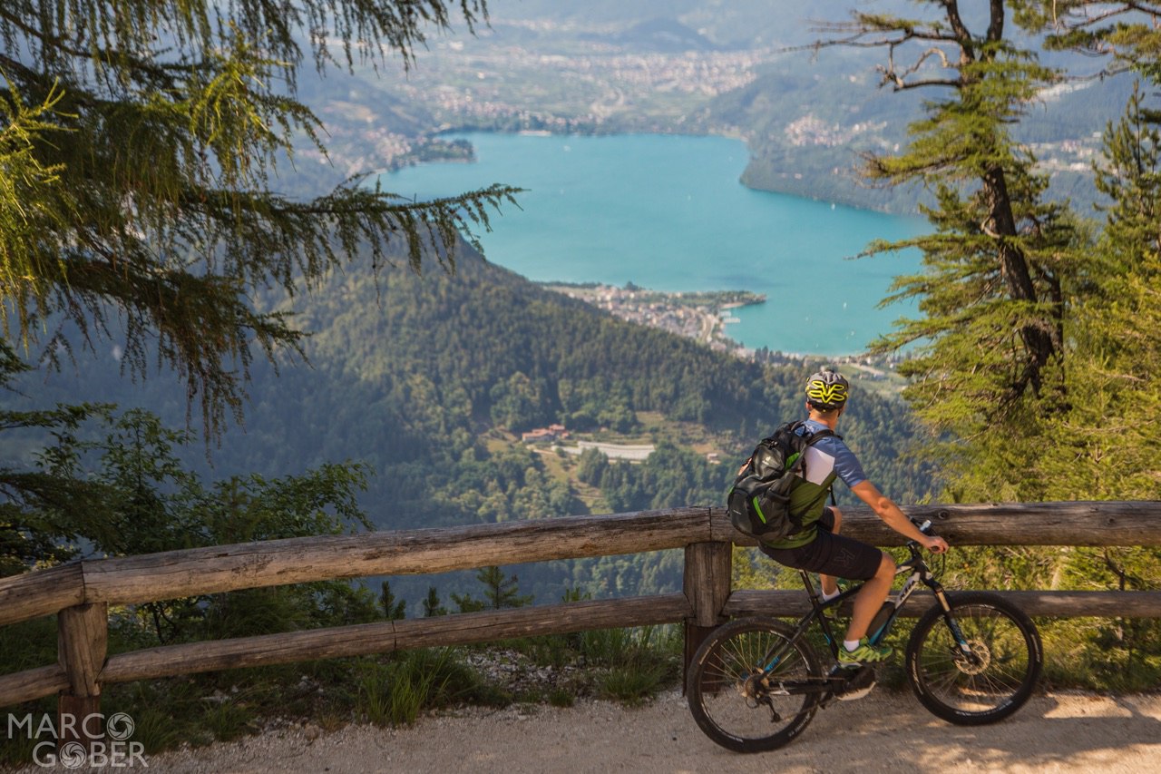 Respiro degli alberi