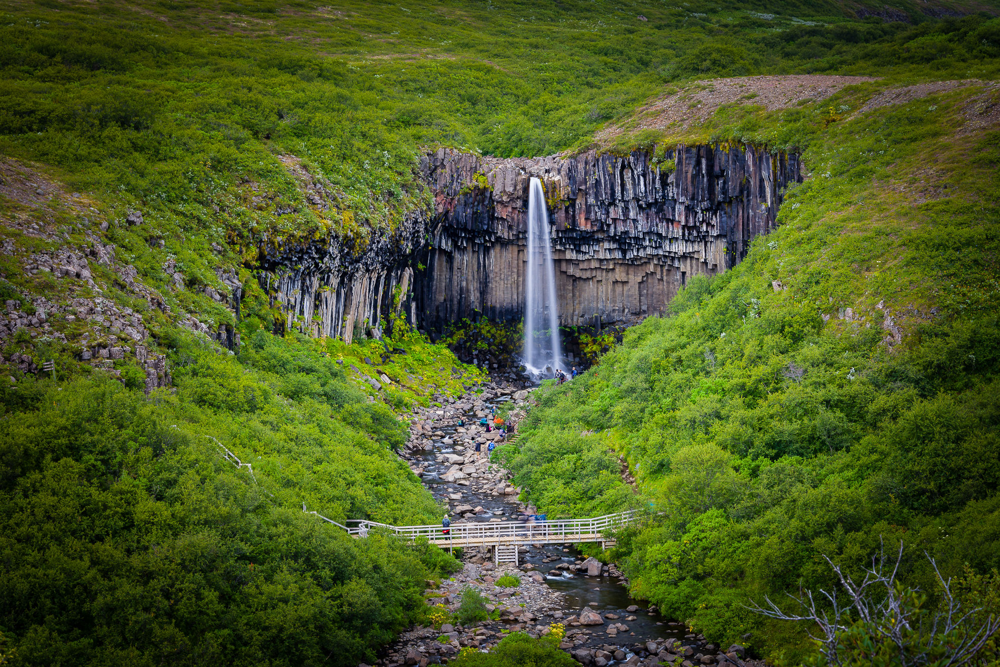 Svartifoss Waterfall