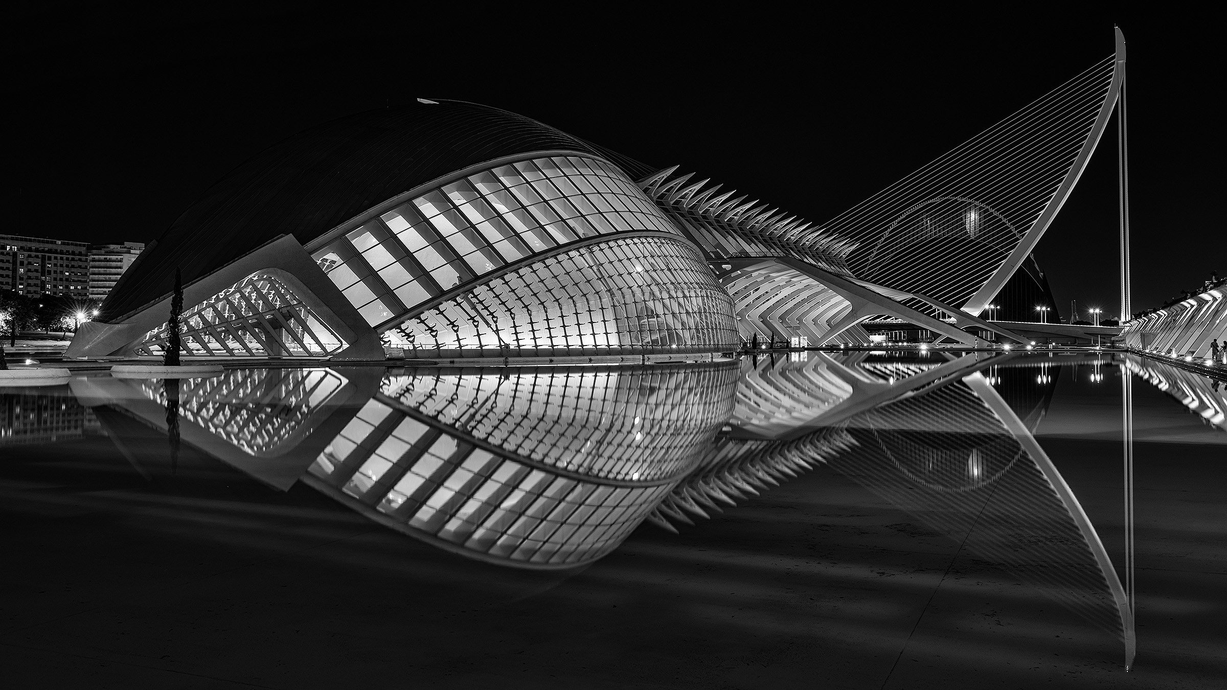 Valencia, the fish of Calatrava