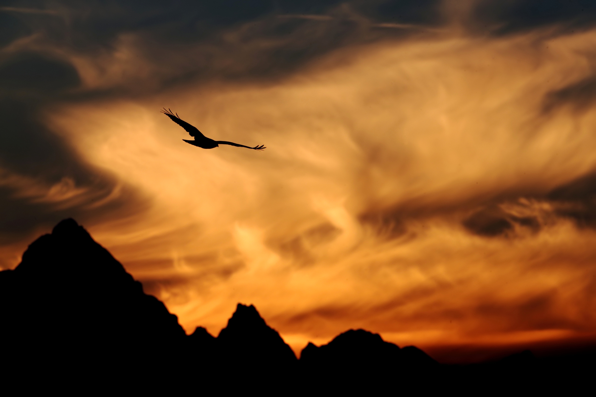 La poiana al tramonto