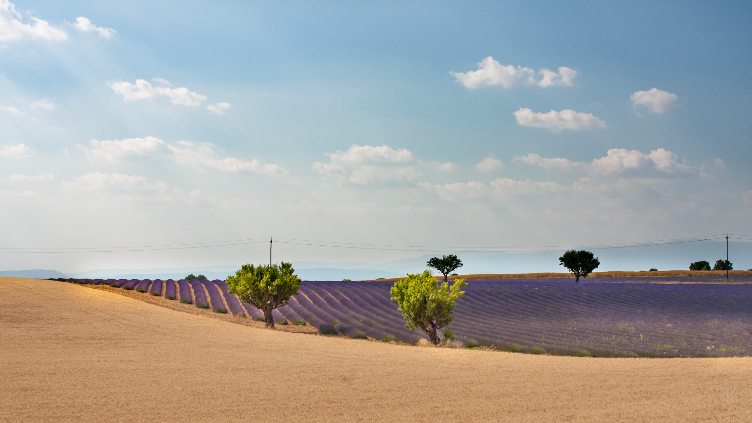 Provencal atmosphere