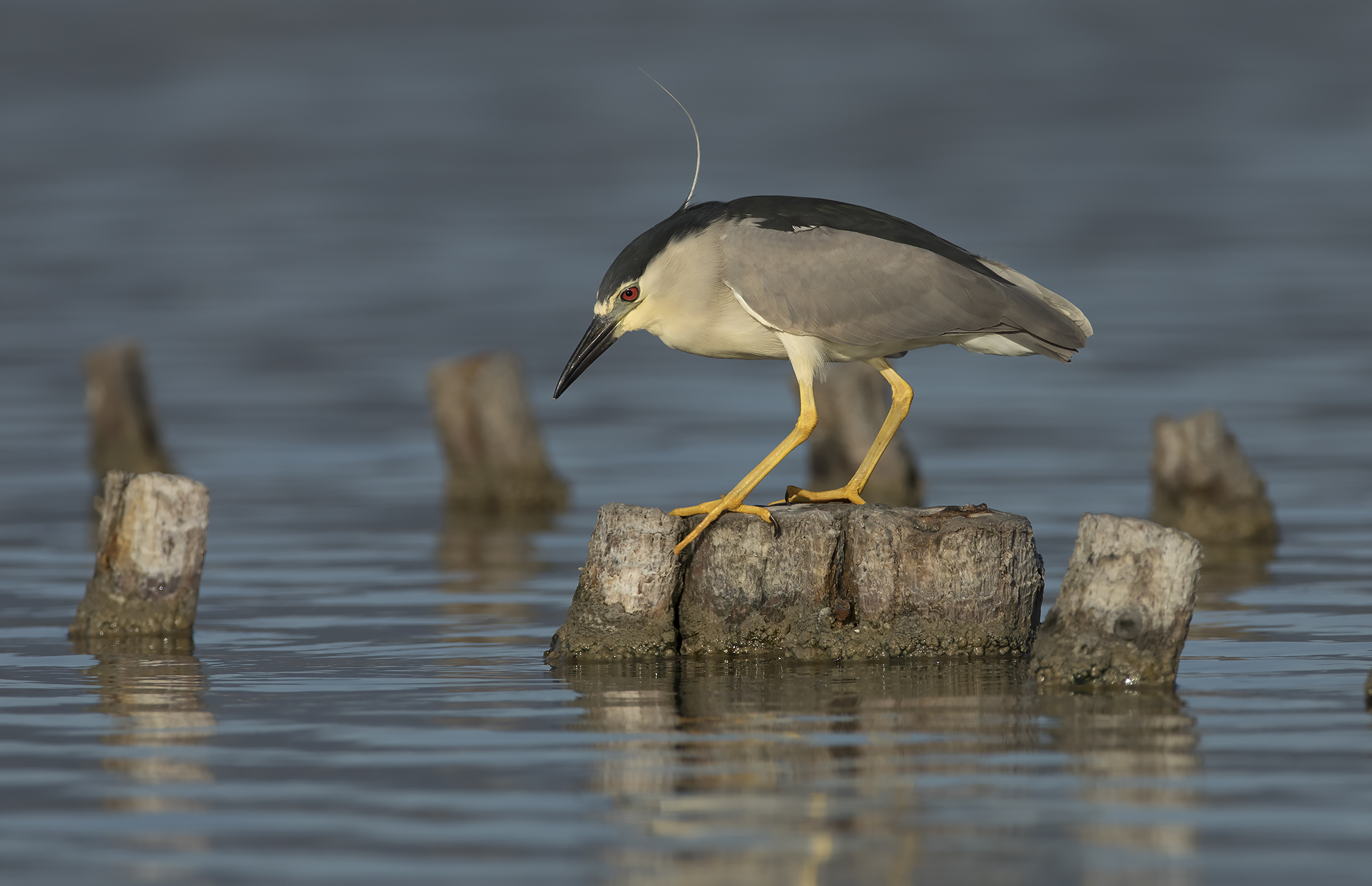 prove elaborazione....