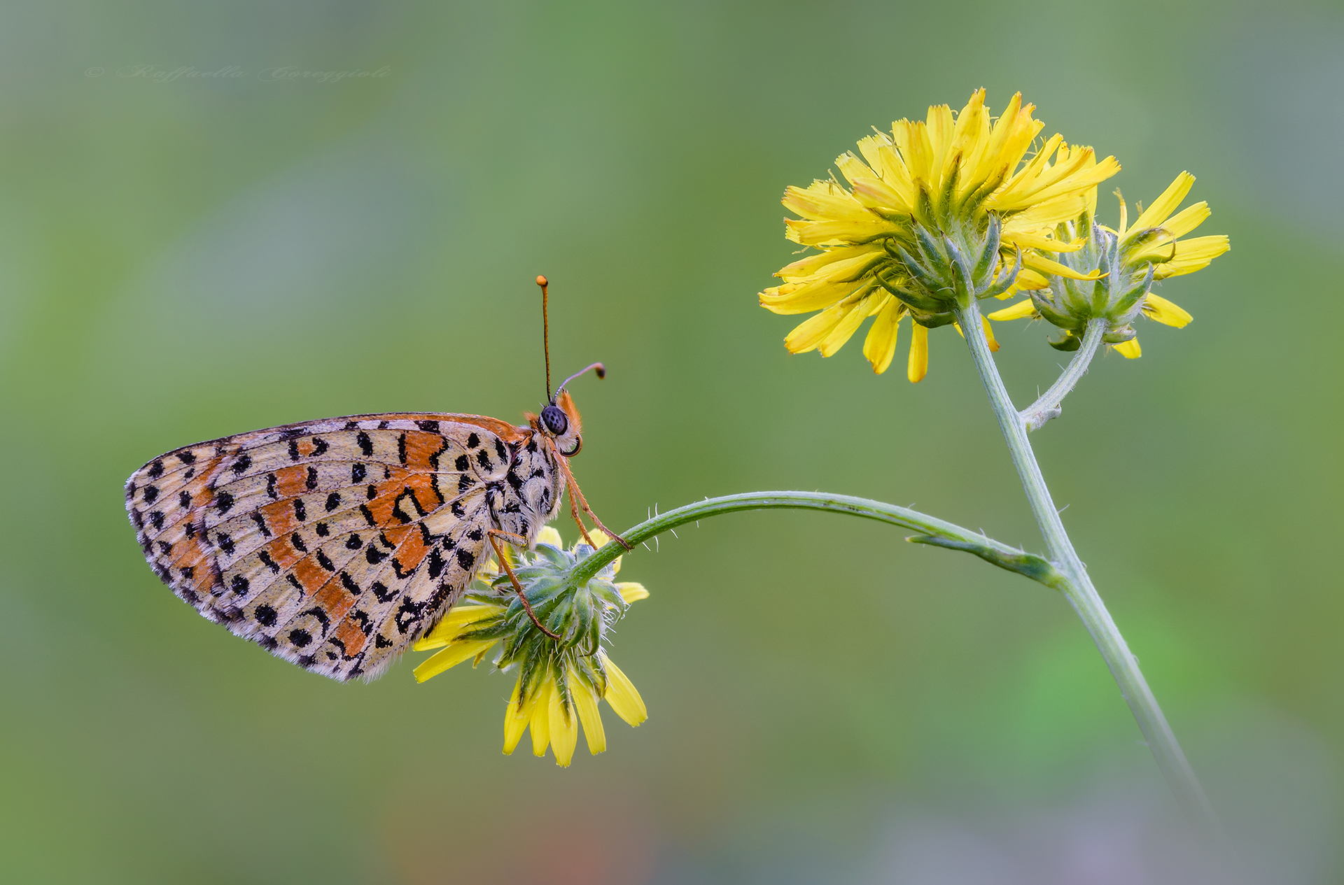 I was waiting for you...