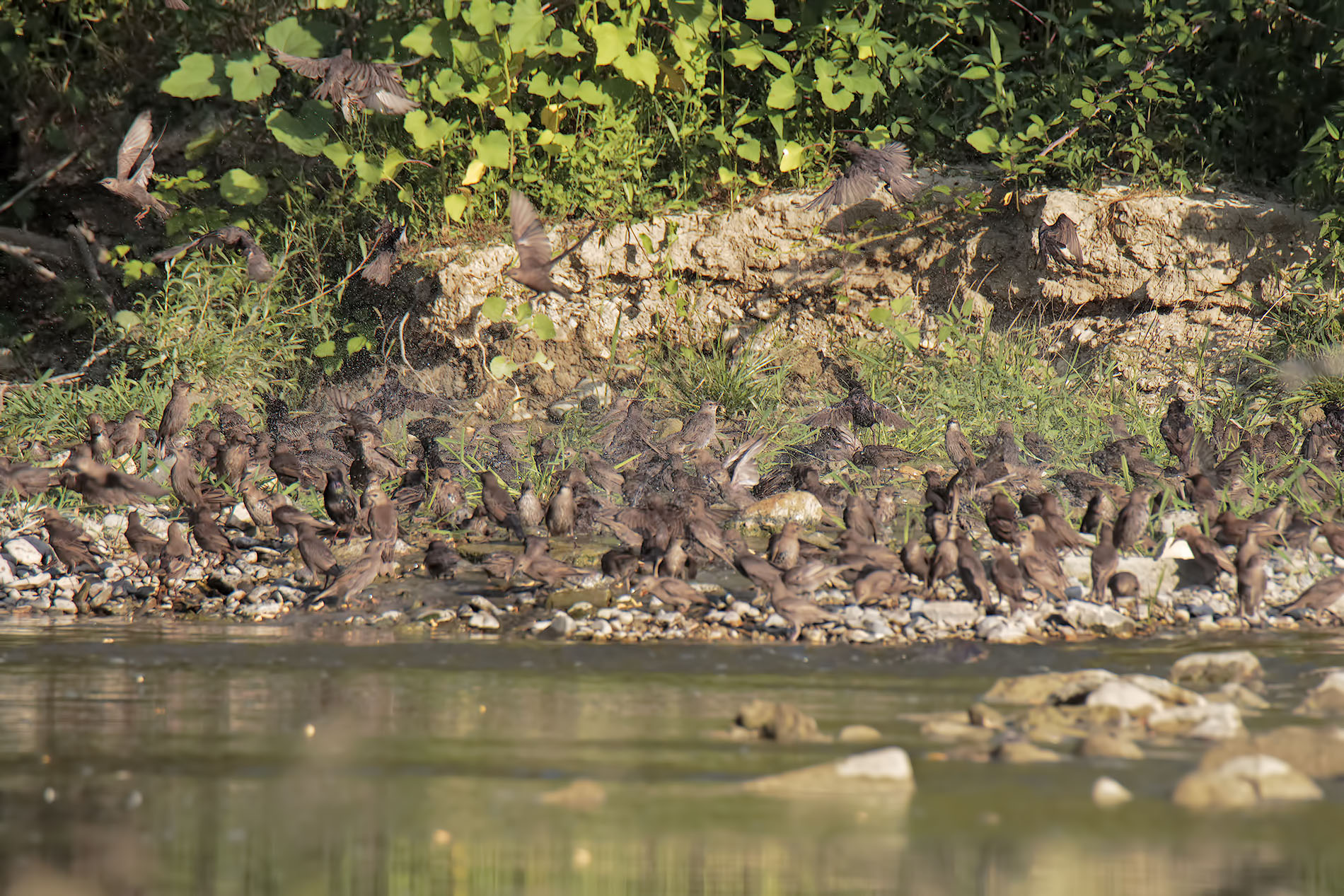 Even today crowded beach