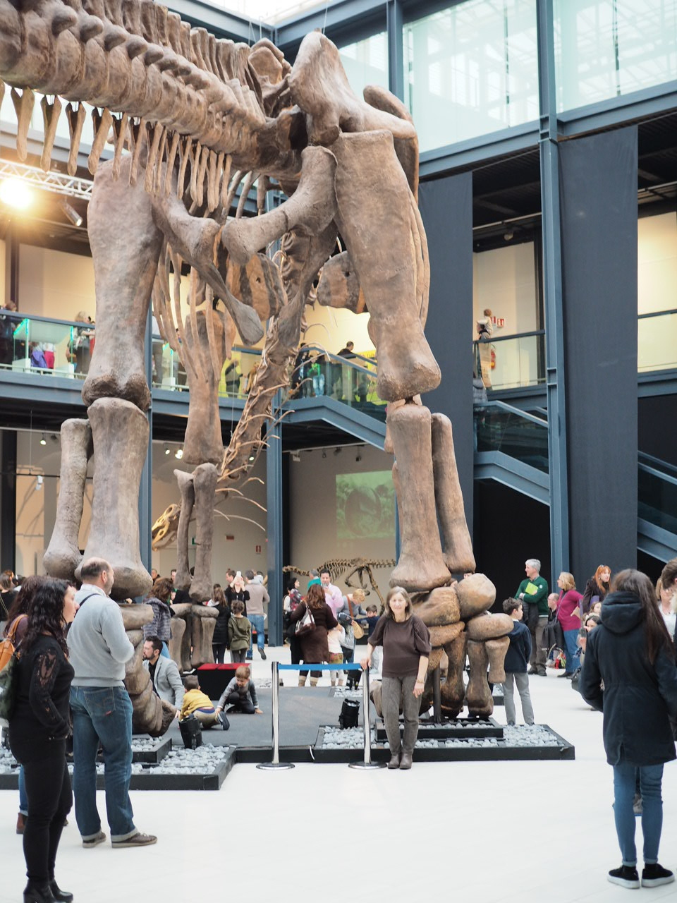 Argentinosaurus e uomo