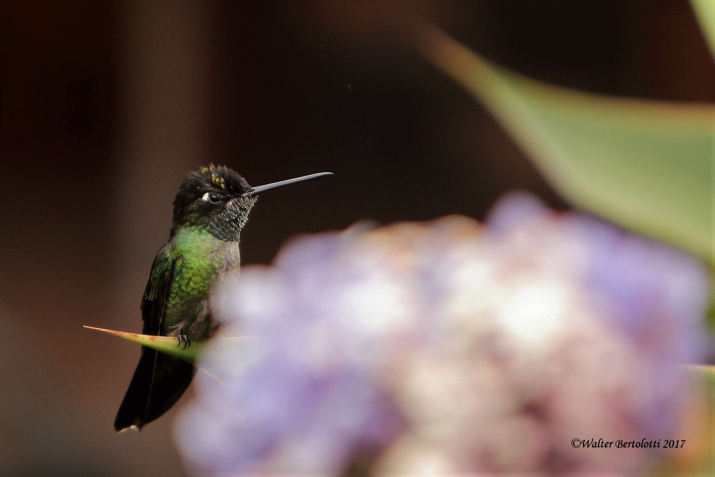 ...What do you want?