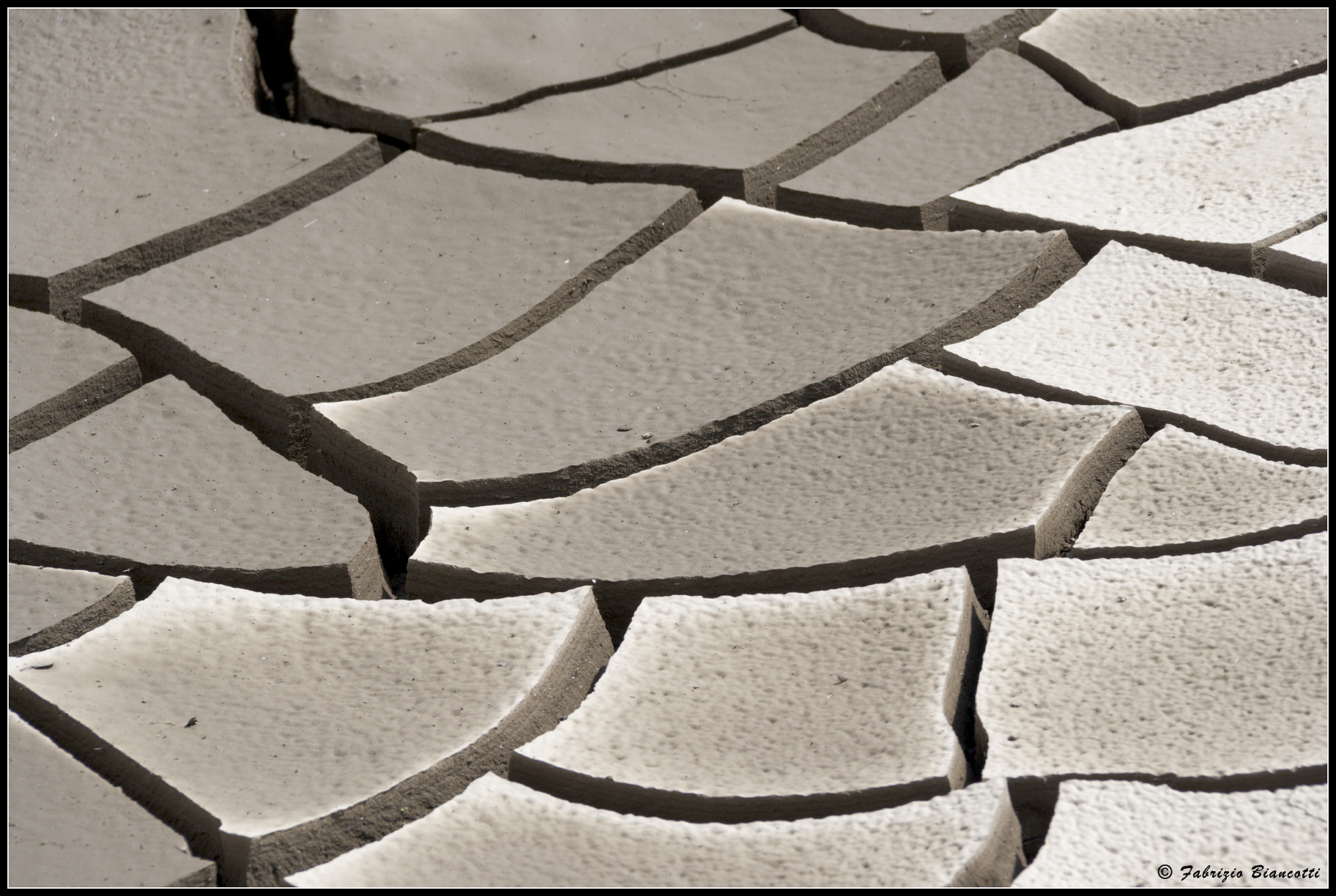 Geometrie della Natura