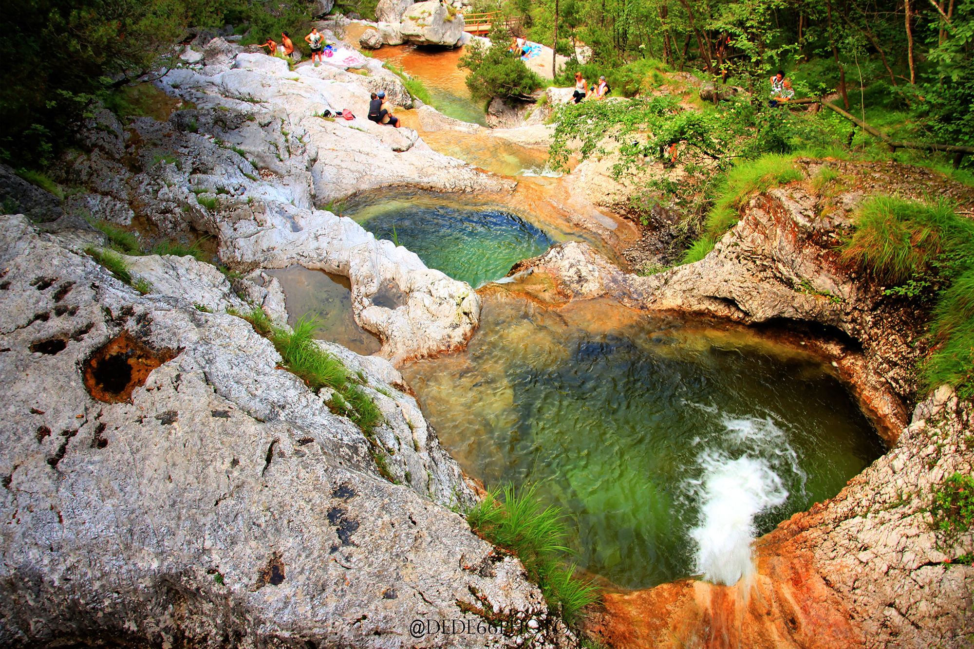 The Cadins of the Brenton Valley-Miss Belluno