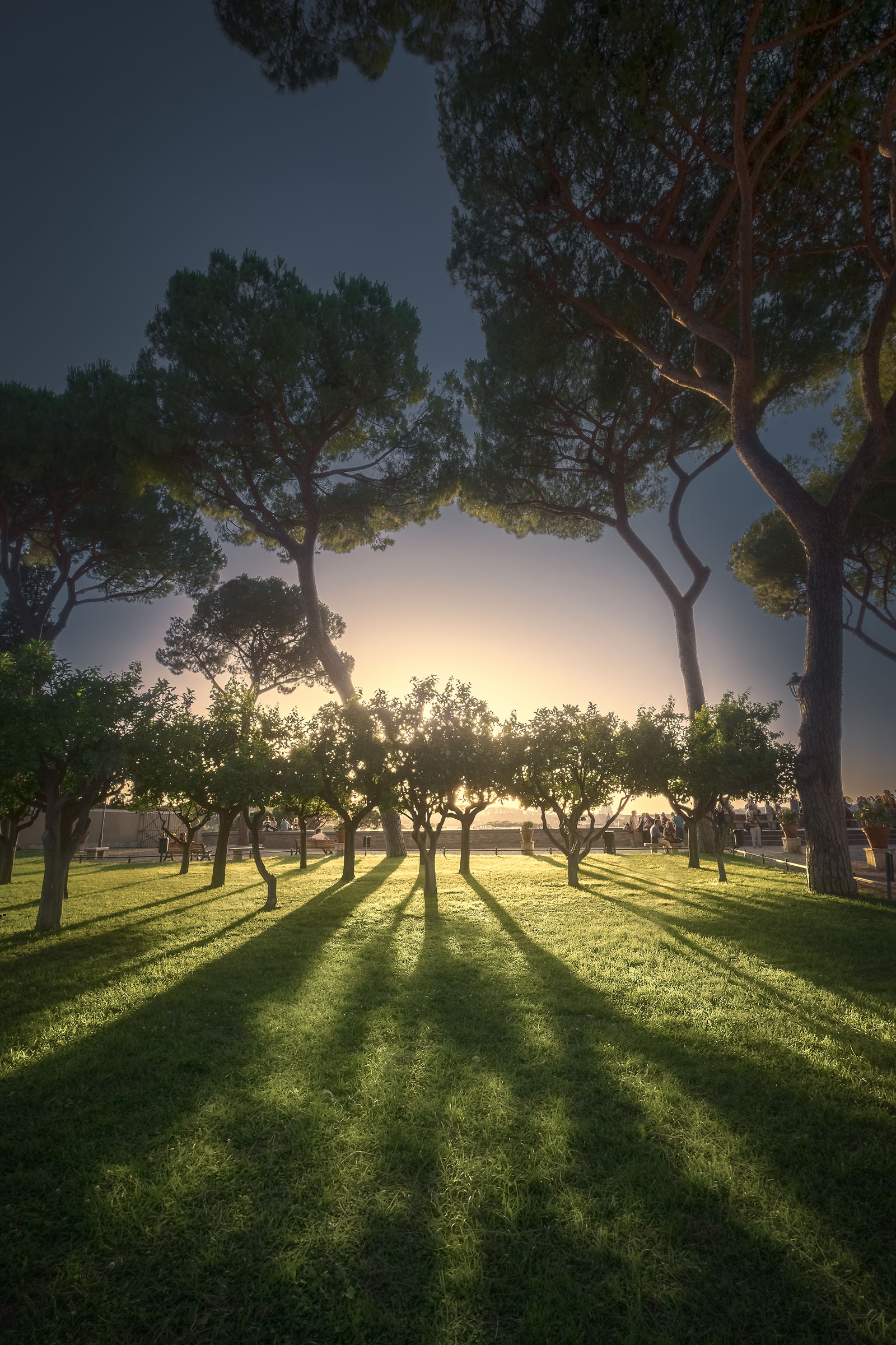 Un tramonto al Giardino degli Aranci.
