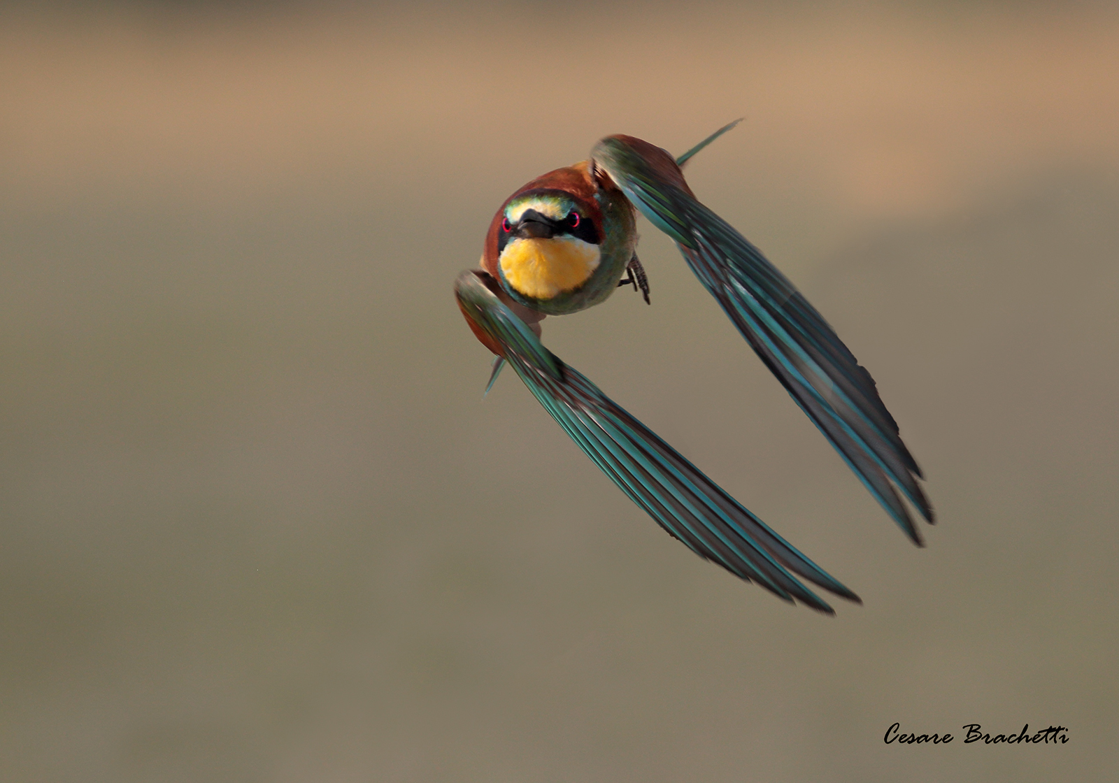 In flight ... I try.