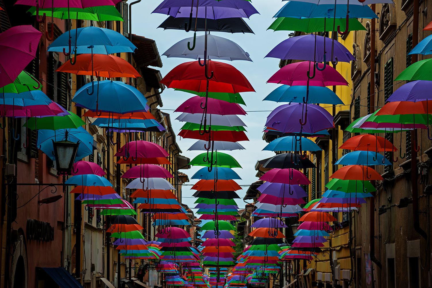 The umbrellas of Piatrasanta