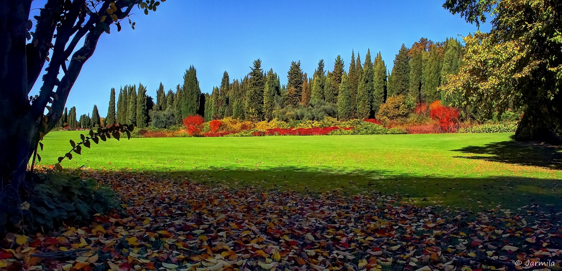 La poesia dell'autunno