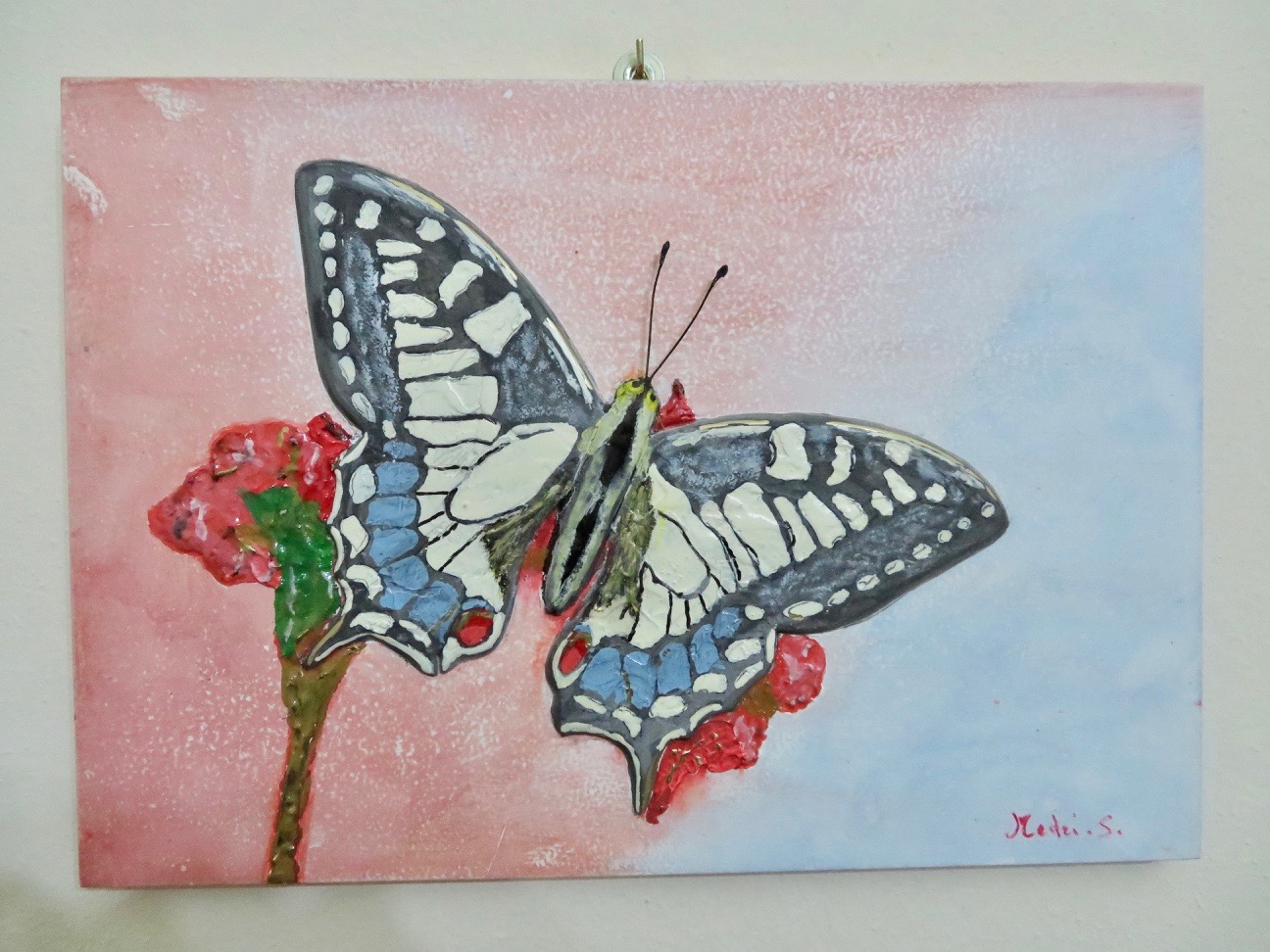 butterfly