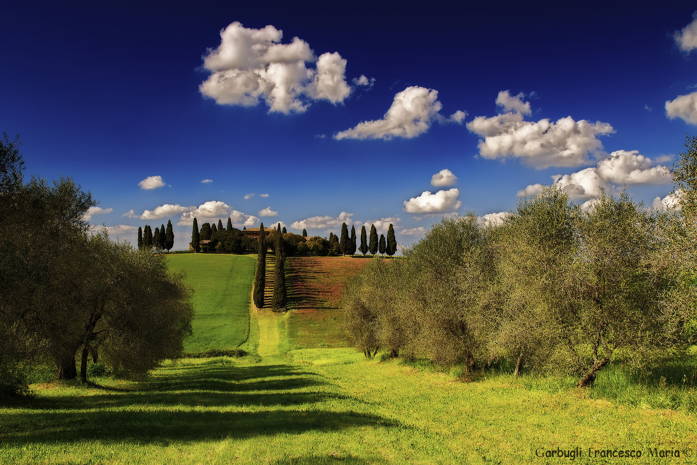 The light of San Quirico d'Orcia