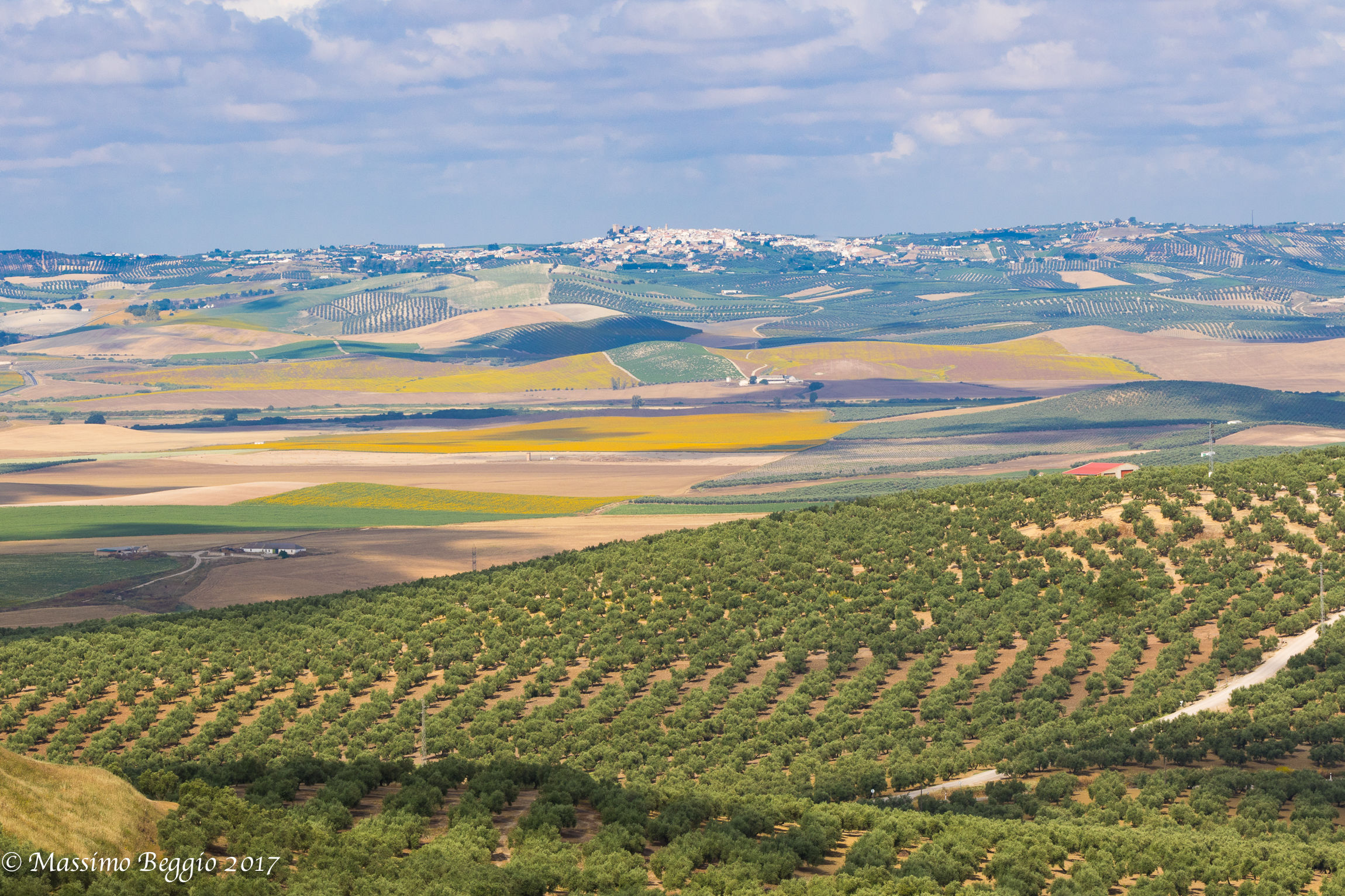 Andalusian landscape