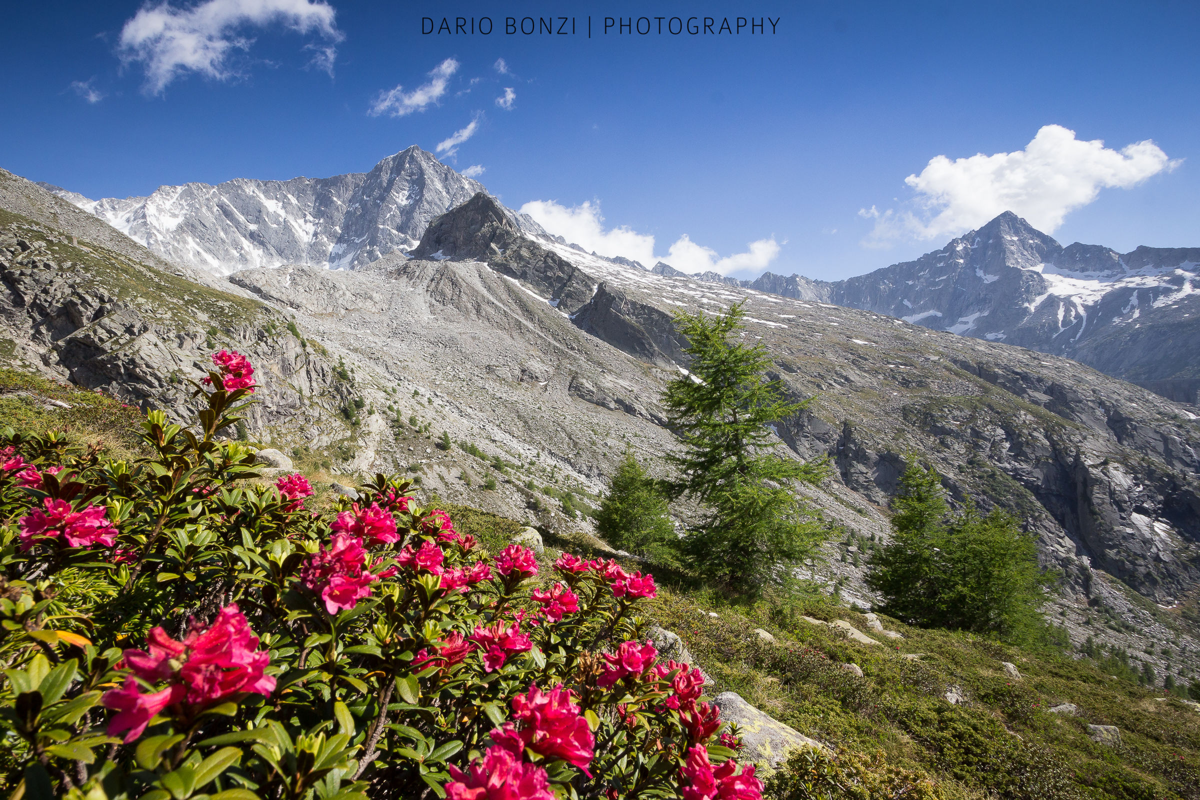Giganti di pietra - Adamello e Plem