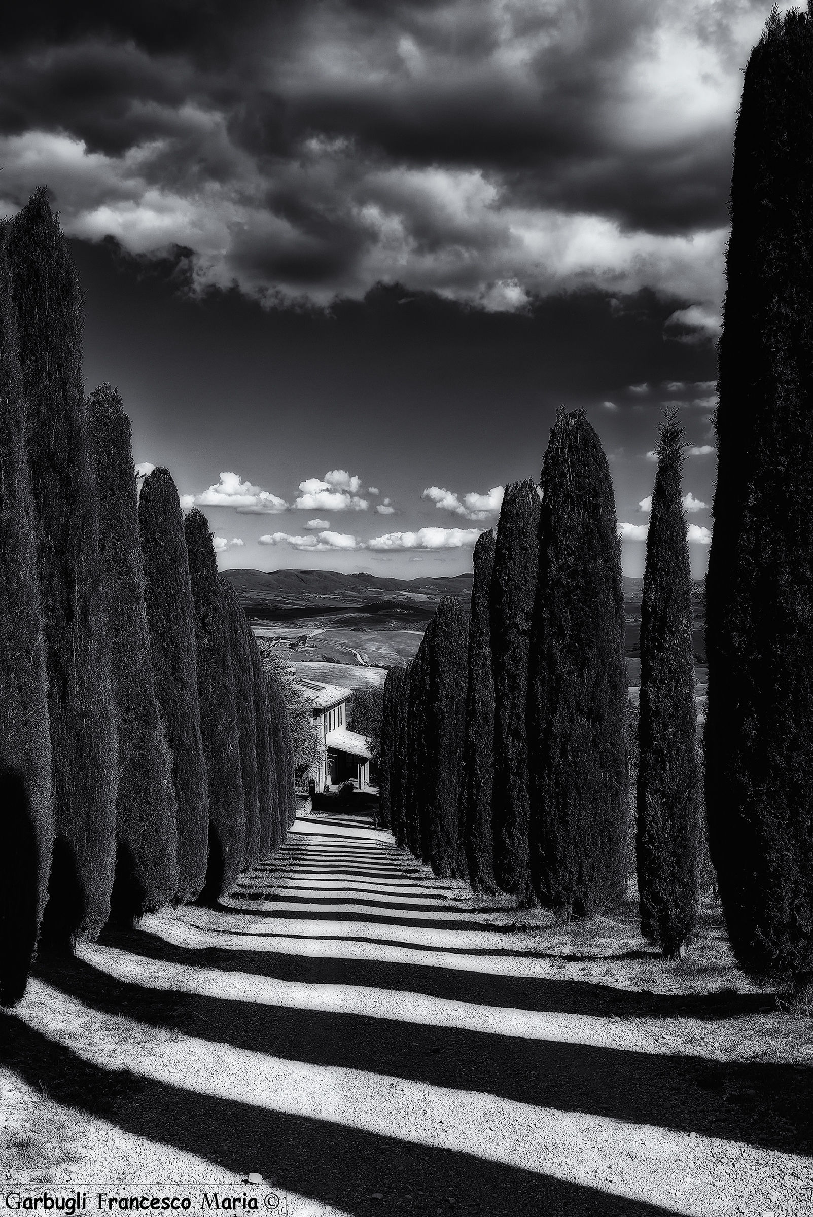 Natural lines in Val d'Orcia