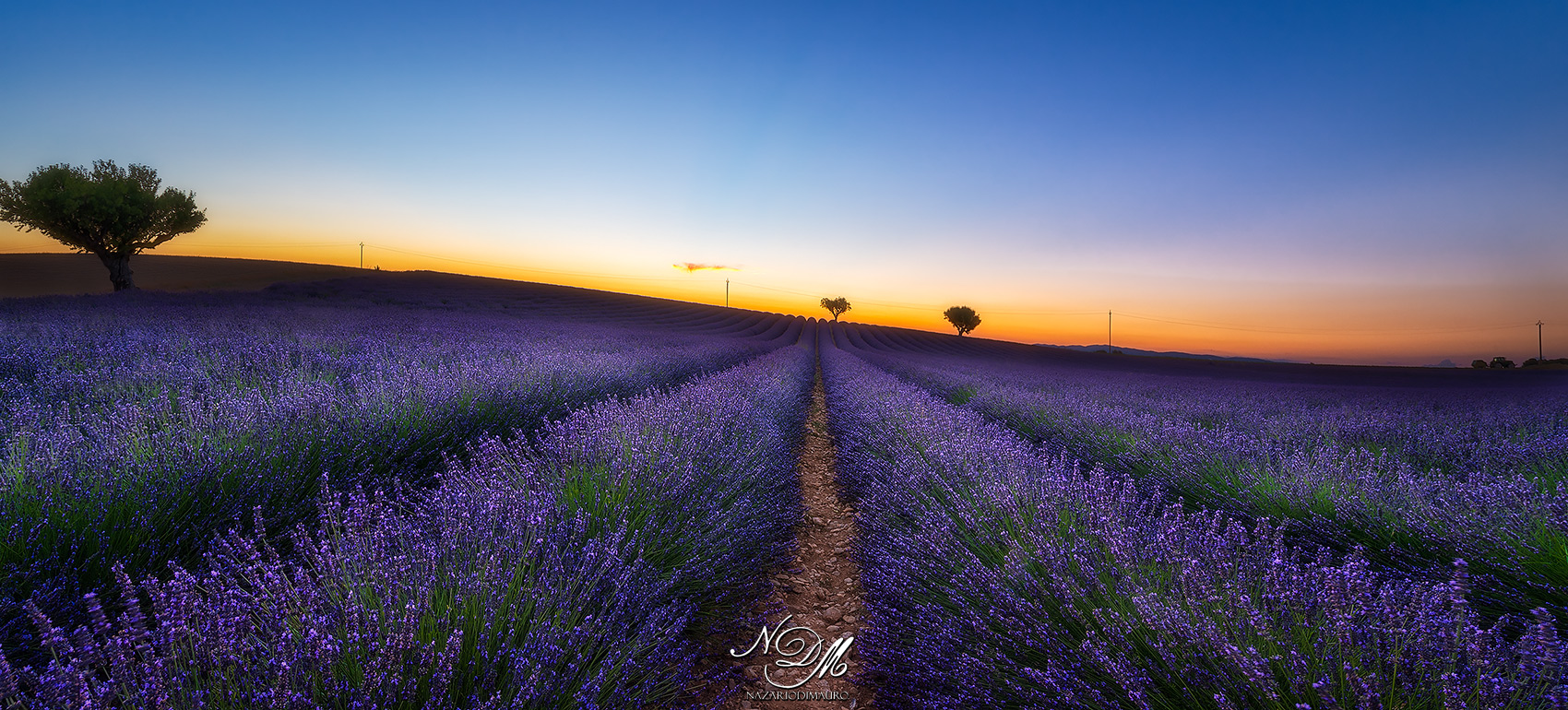 Valensole ... Provence - France