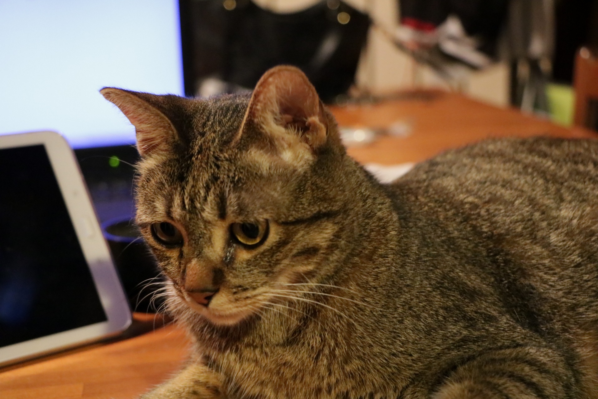 Principiante..tanto per cominciare