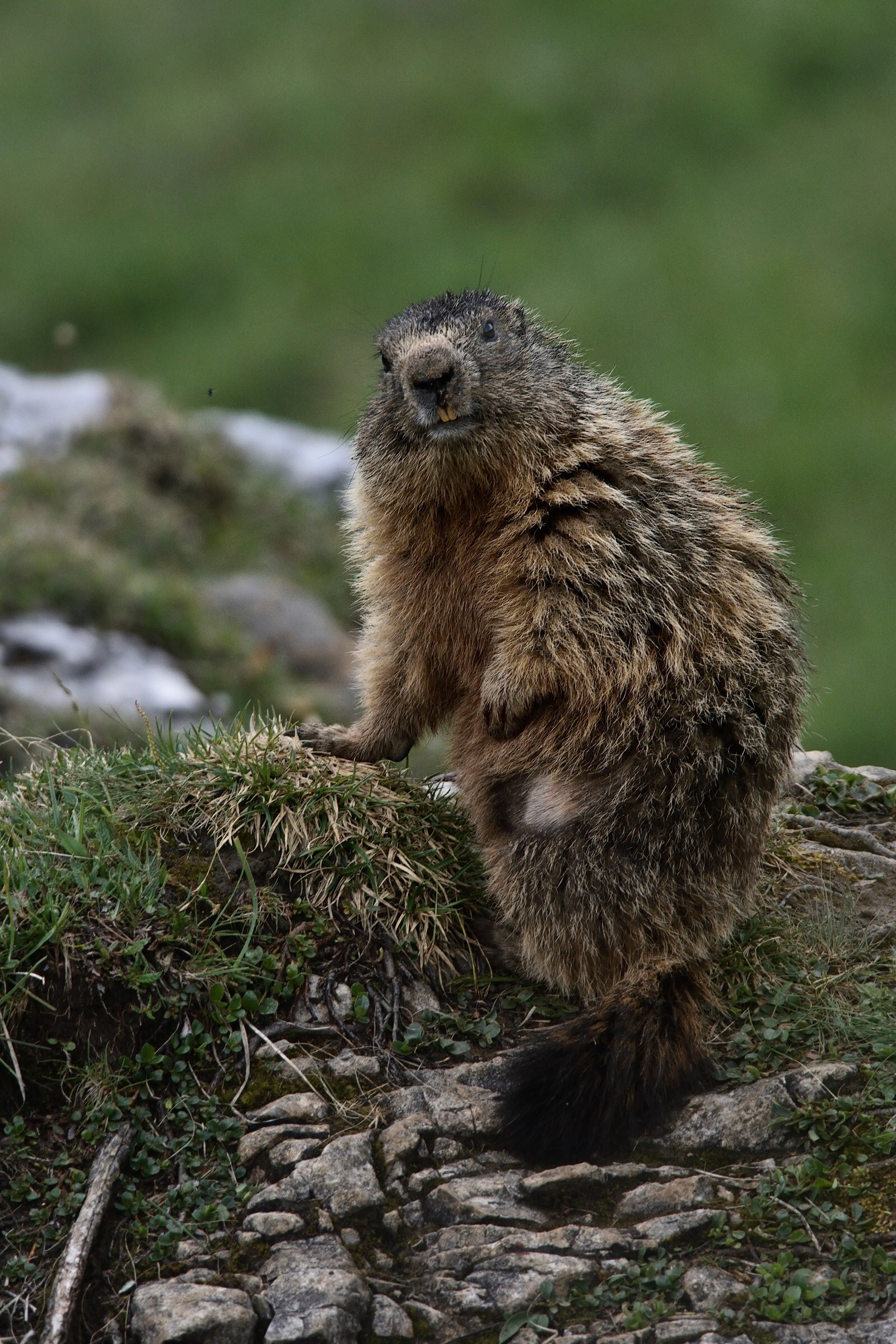 What are you looking at?