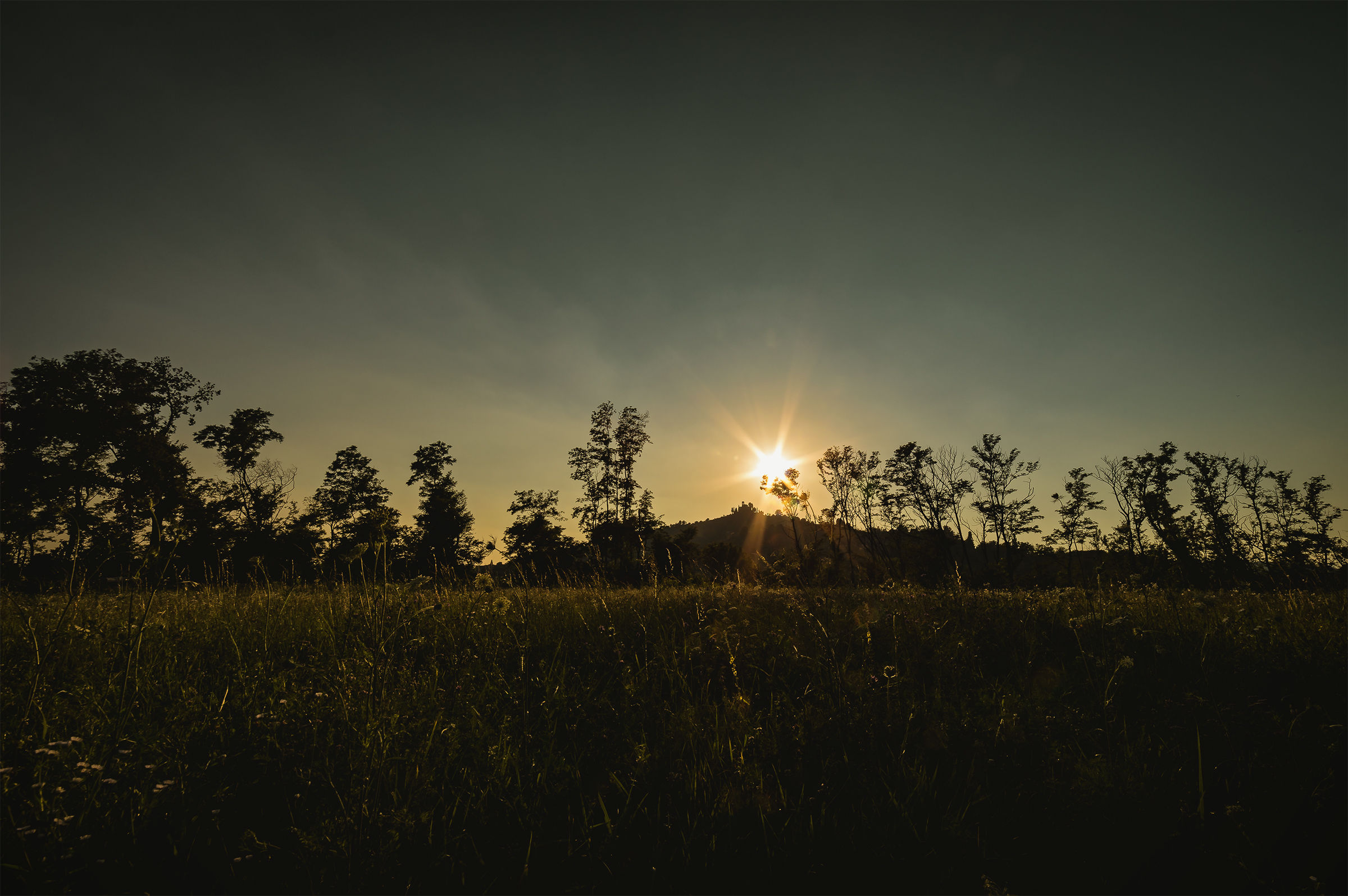 It grows in the shadow of Montevecchia
