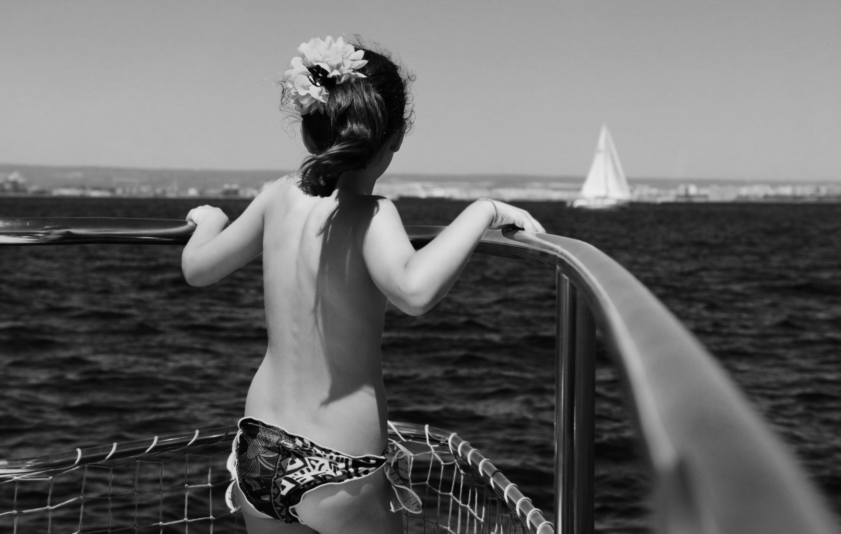 Looking for dolphins