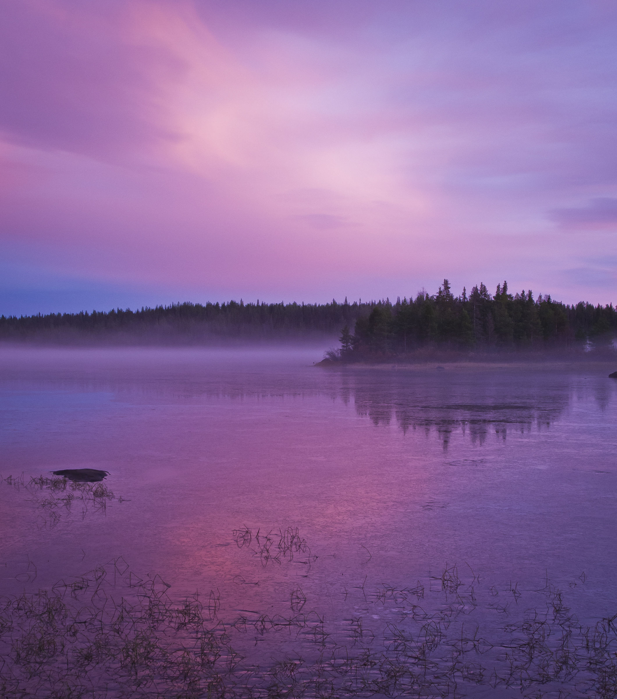 Purple Lake