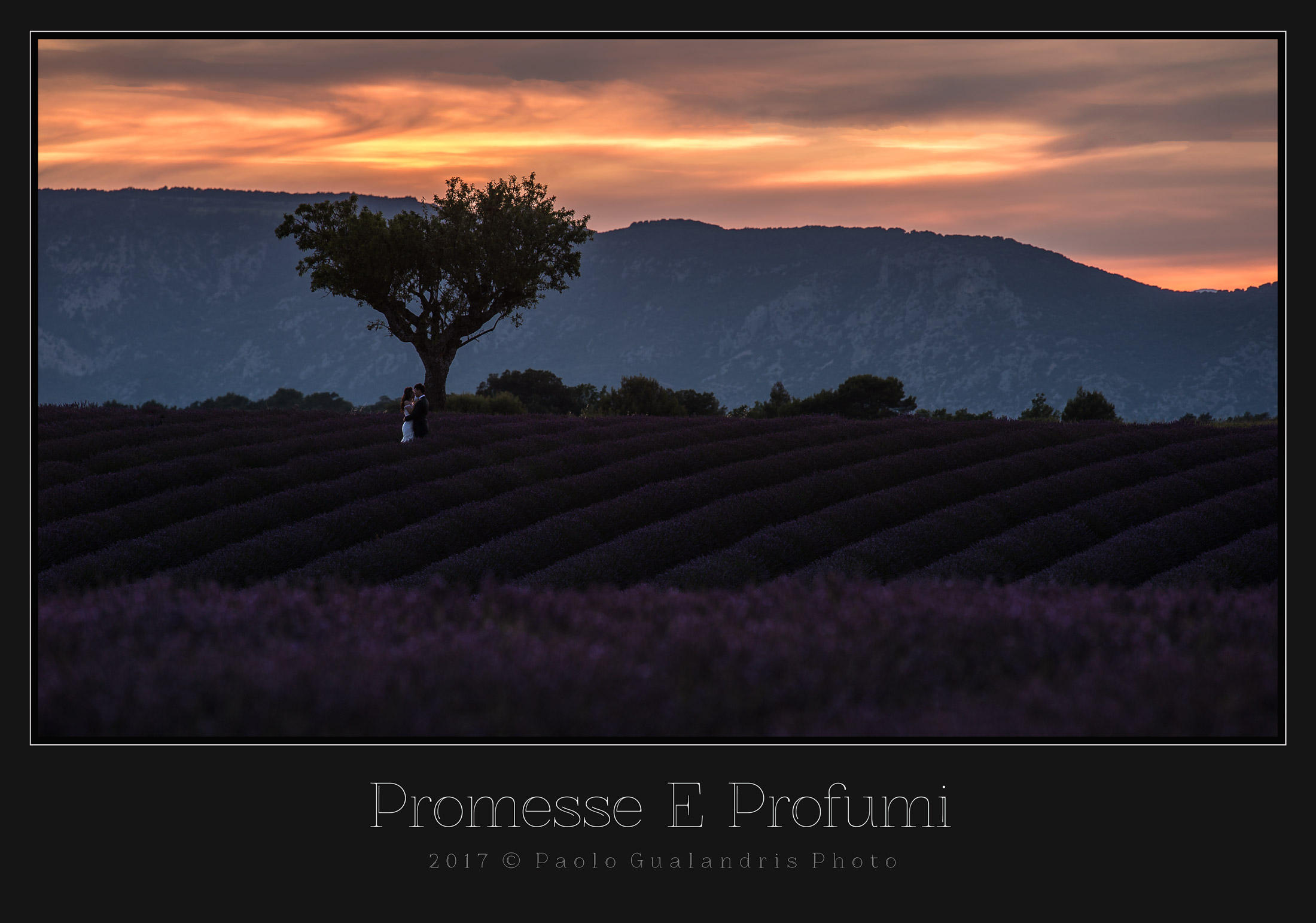Promesse E Profumi