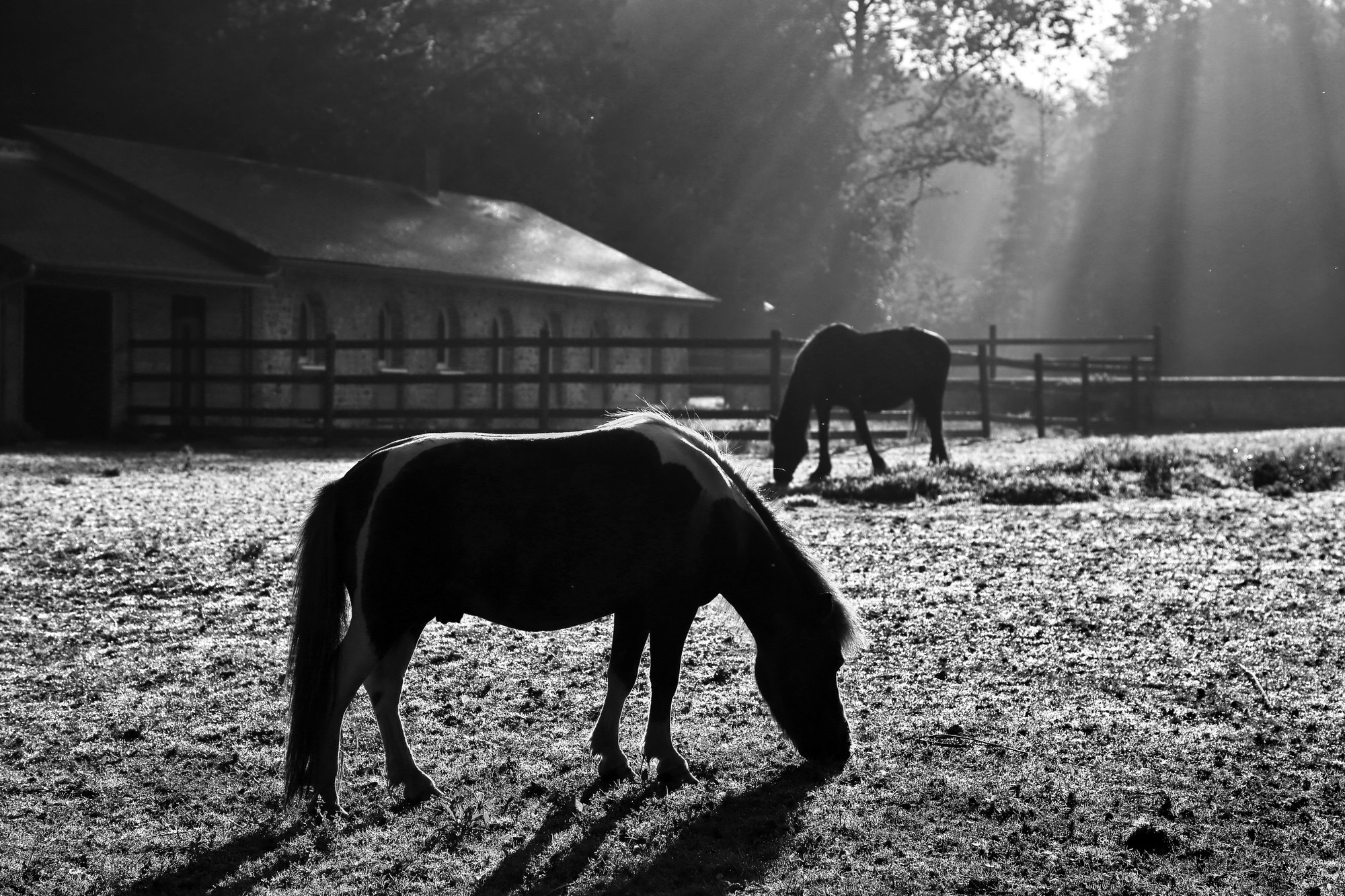 Normandy-Brittany-06