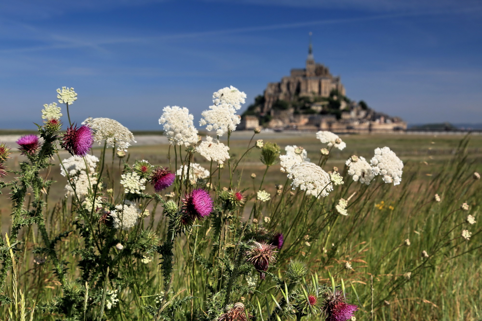 normandy-brittany-16