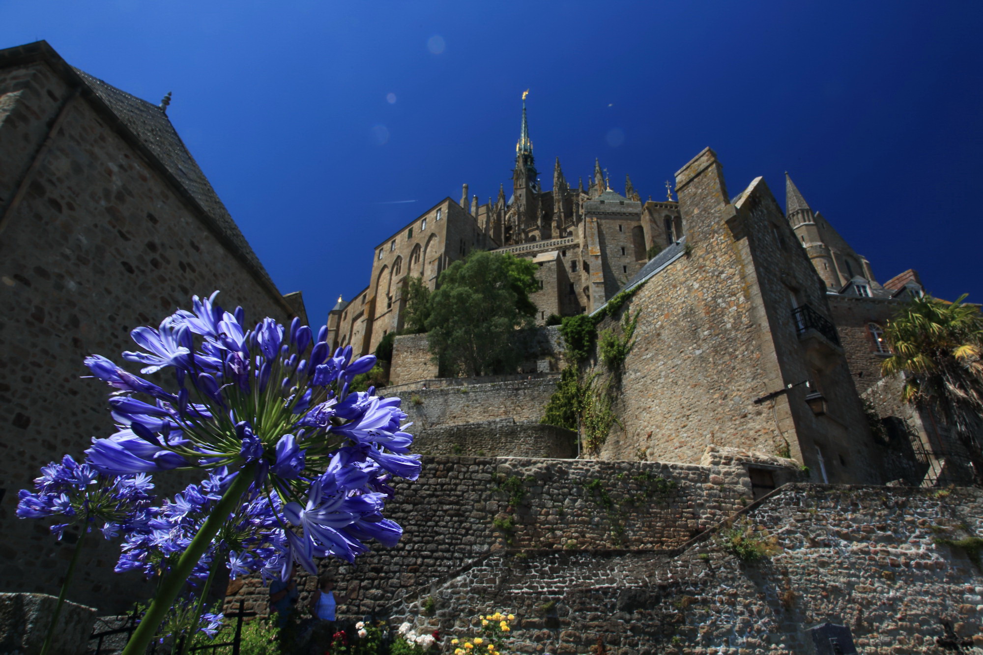 normandy-brittany-19