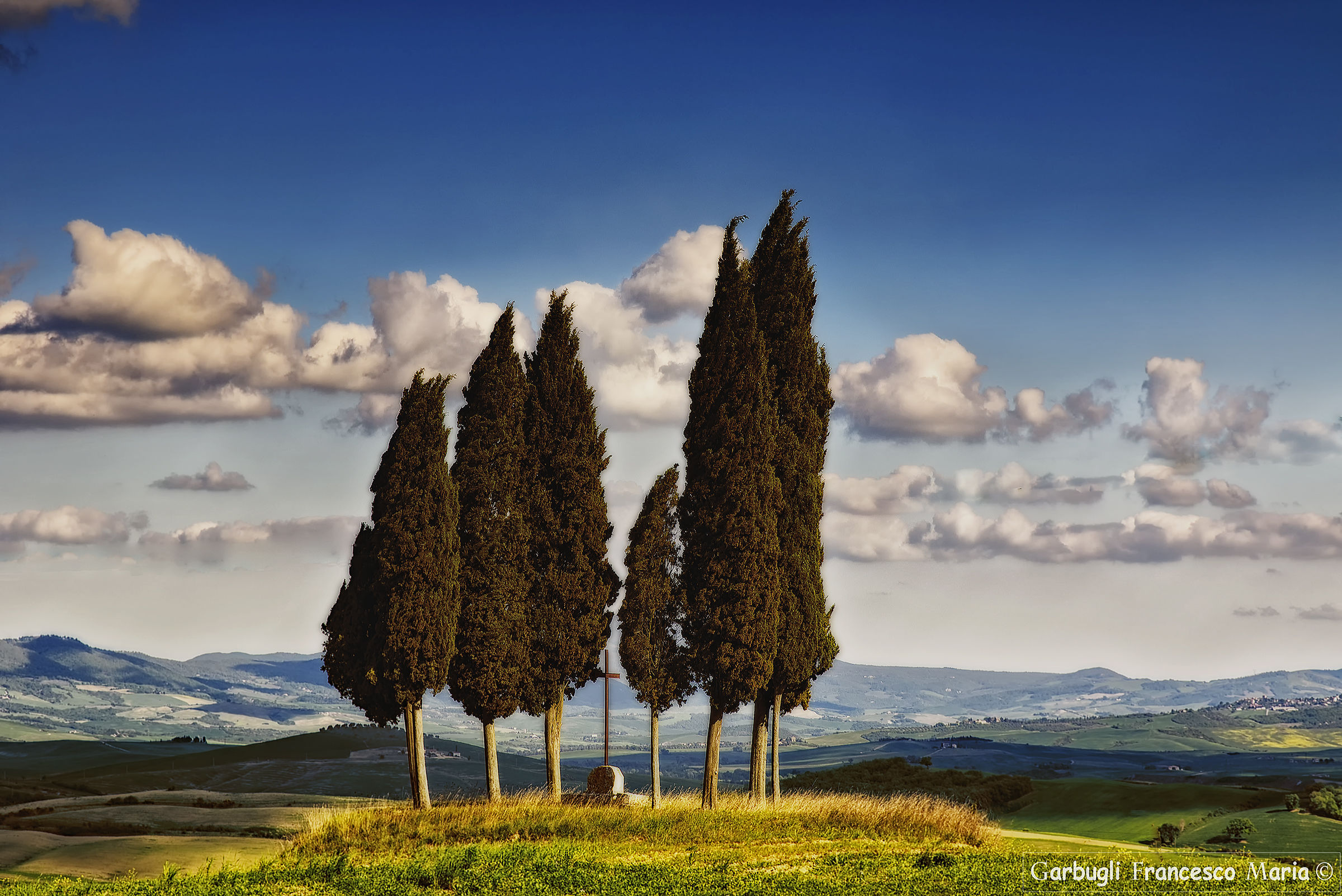 The cypresses of San Quirico d'Orcia