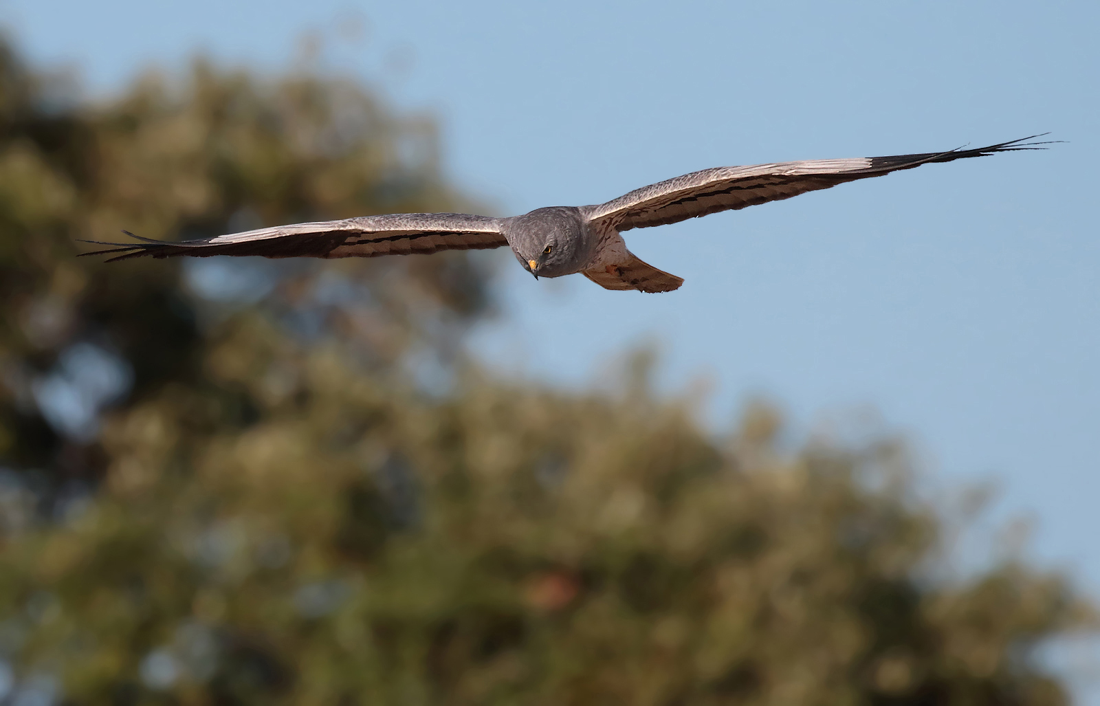 Little kid in hunting