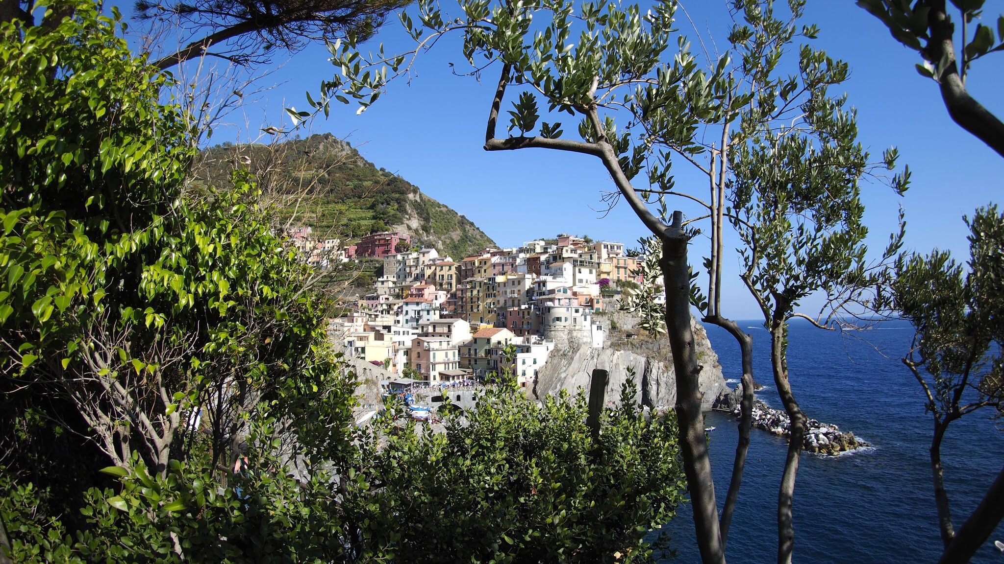 Manarola