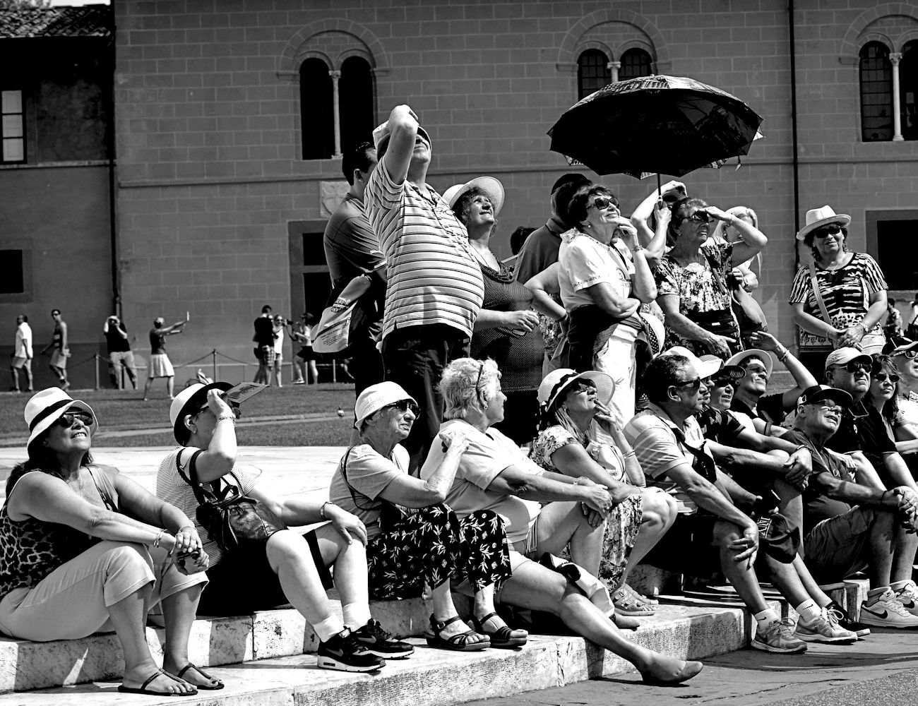 Quando a volare è un' Asino...