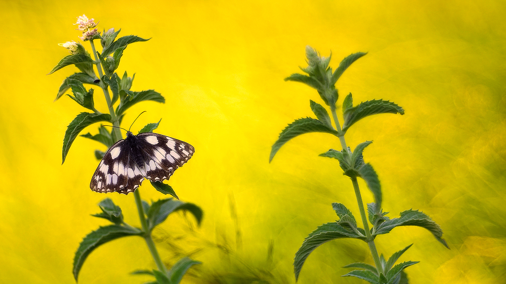 Una bella perdita di tempo
