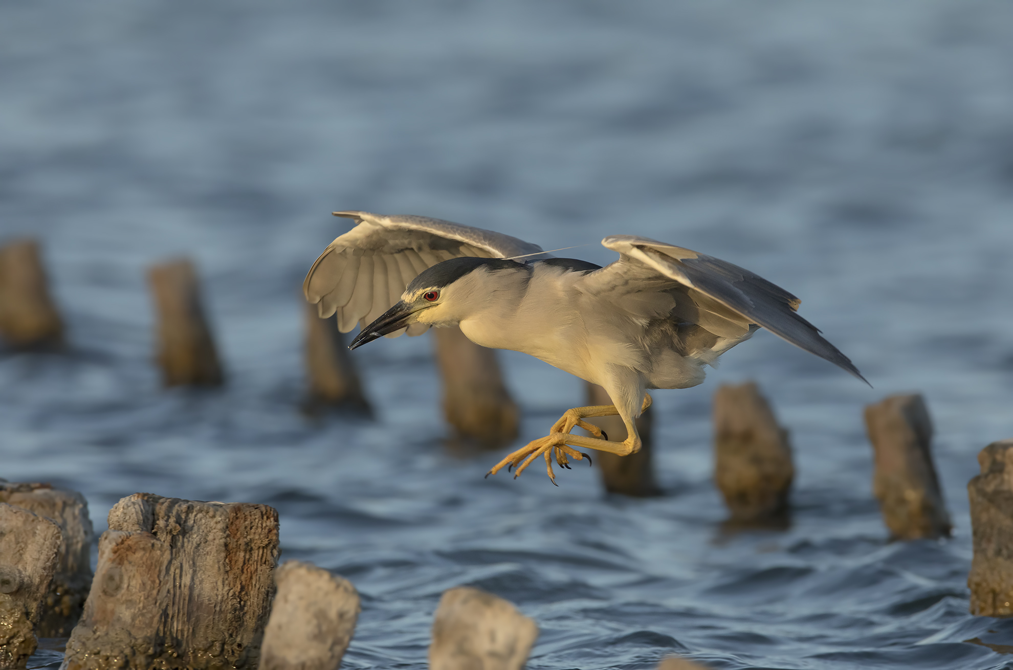 in atterraggio......