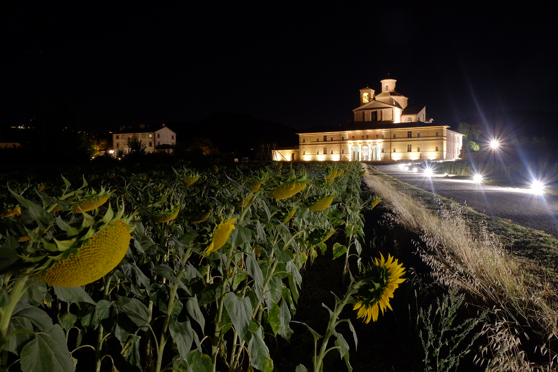 Girasoli dormono al cospetto del Barco Ducale