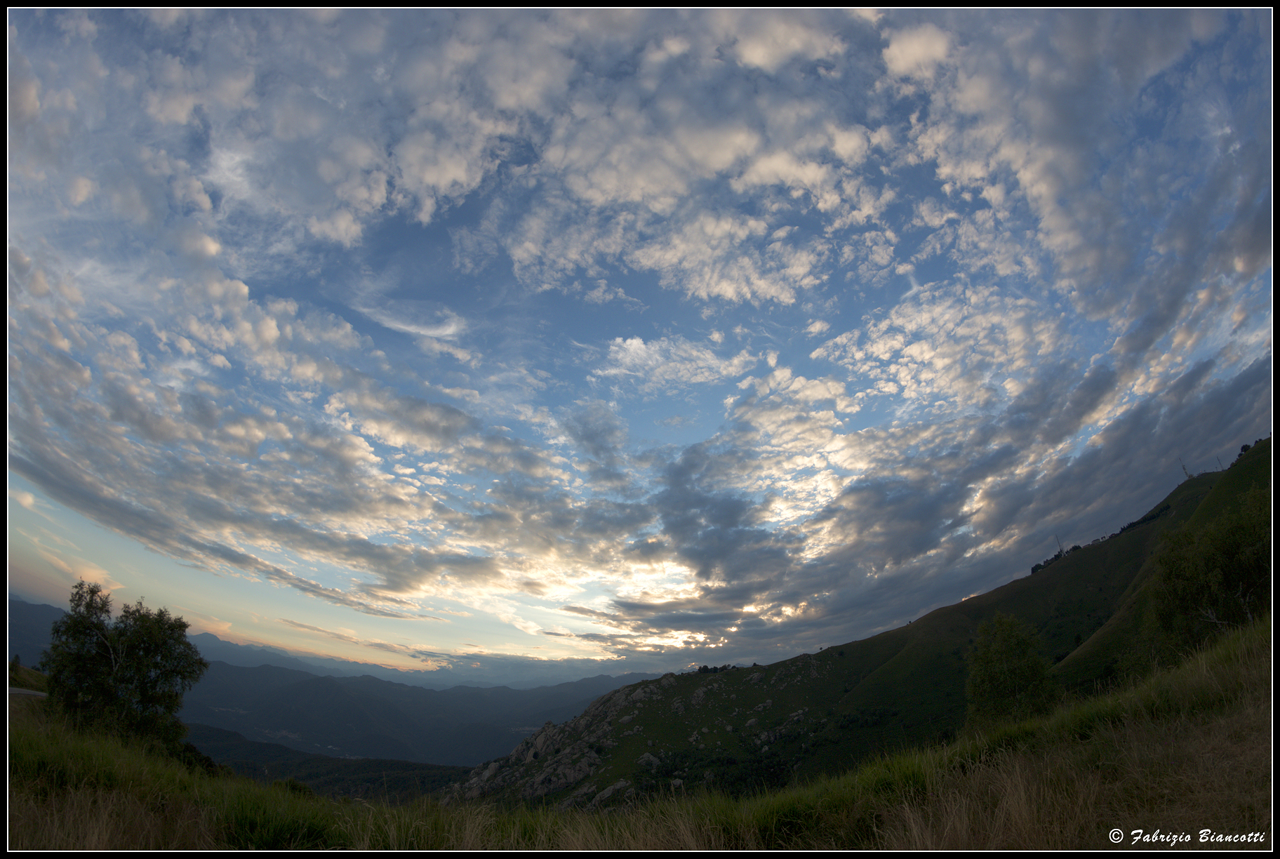 ... and came in the evening