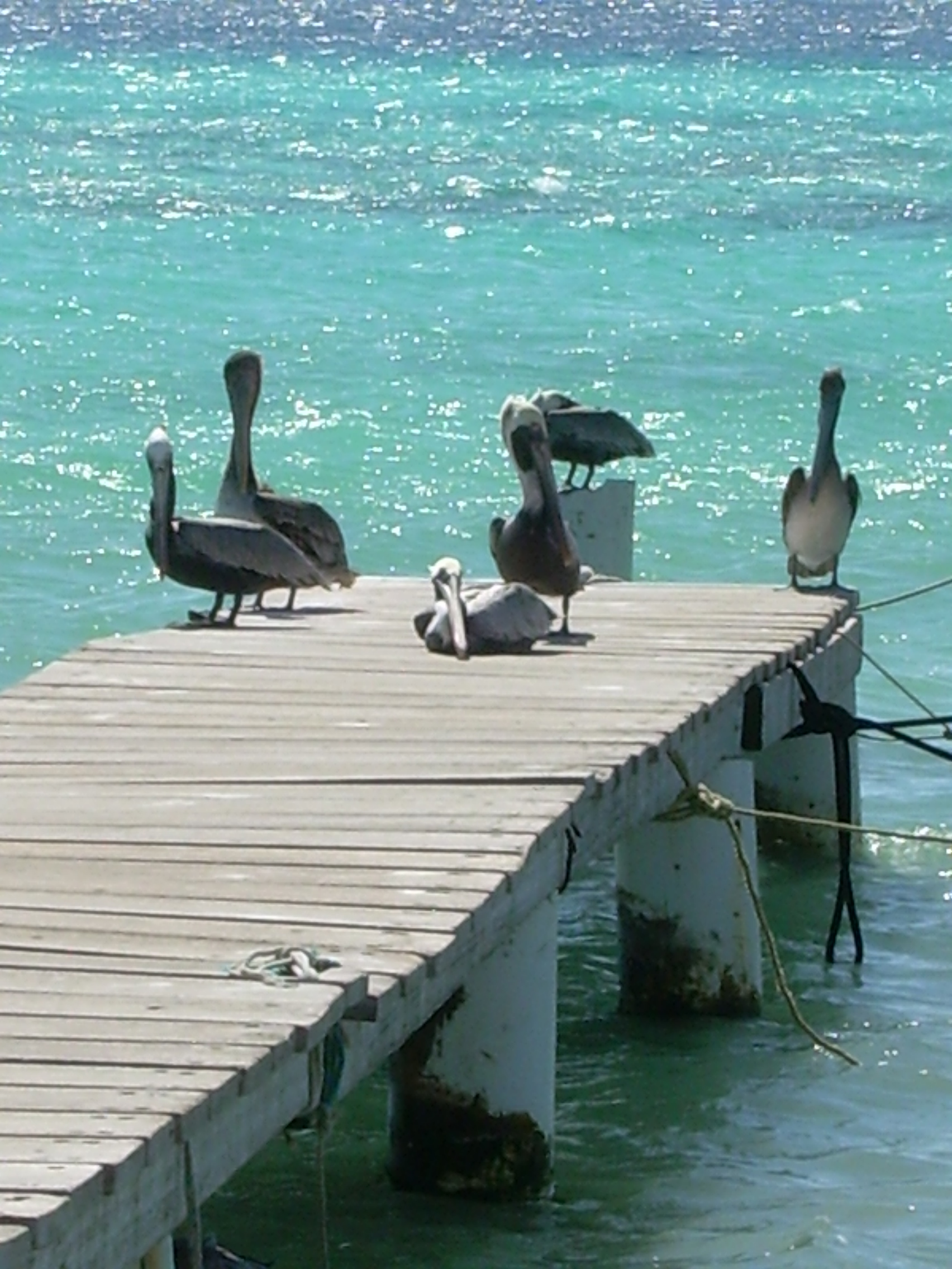 In attesa del prossimo pasto
