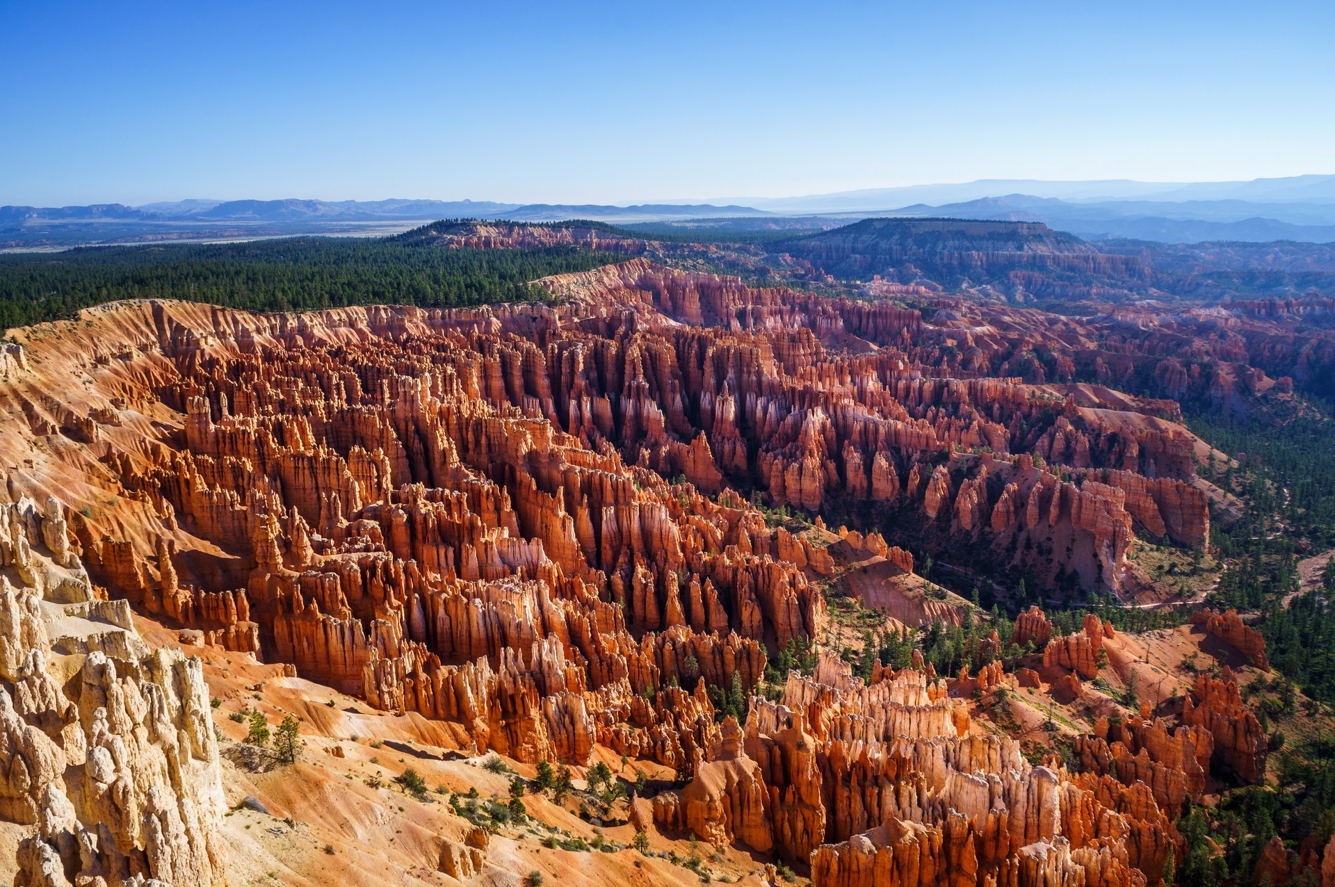 The Amphitheater - Bryce Canyon (Utah)