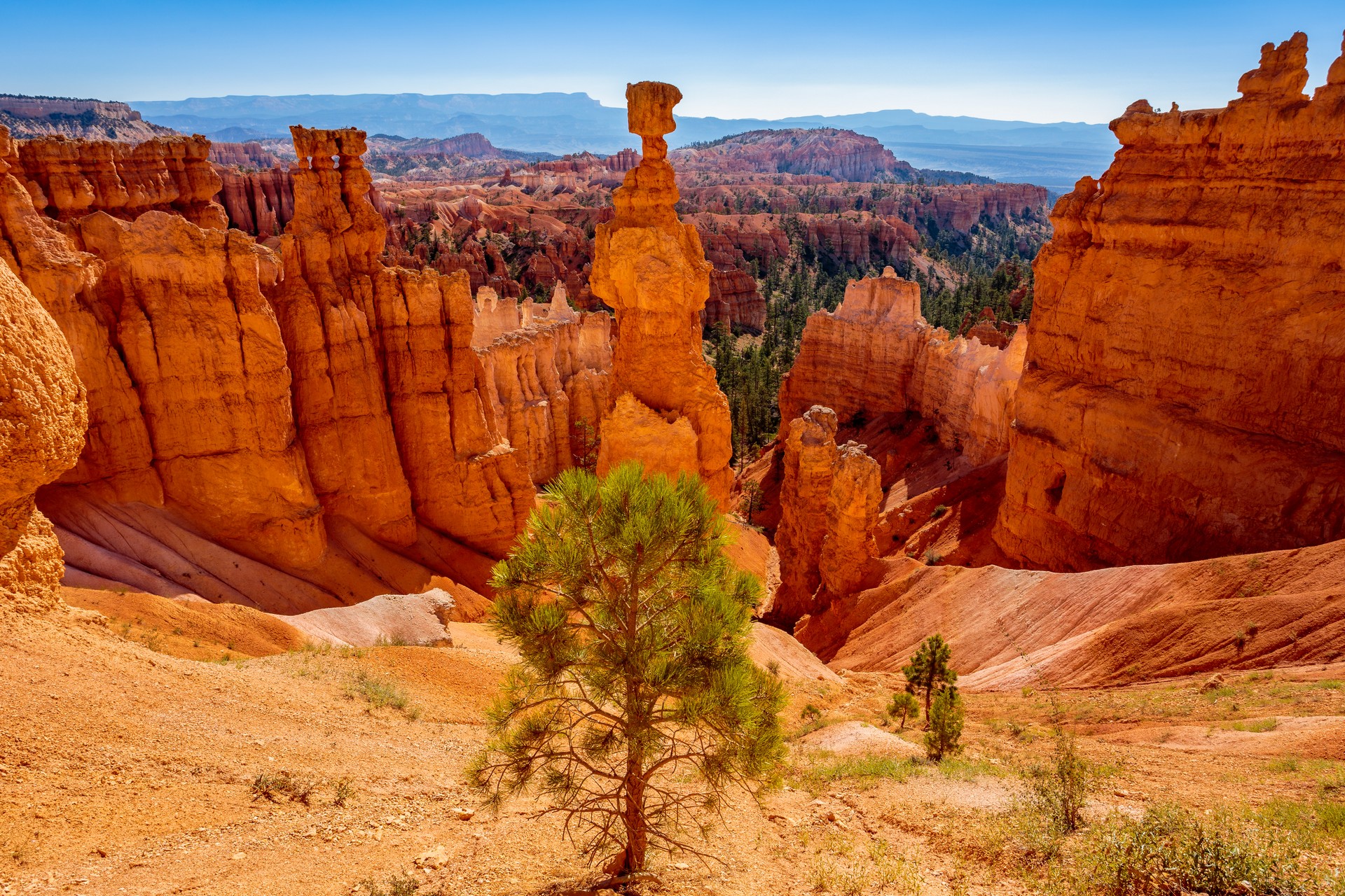 Thor's Hammer - Bryce Canyon (Utah)