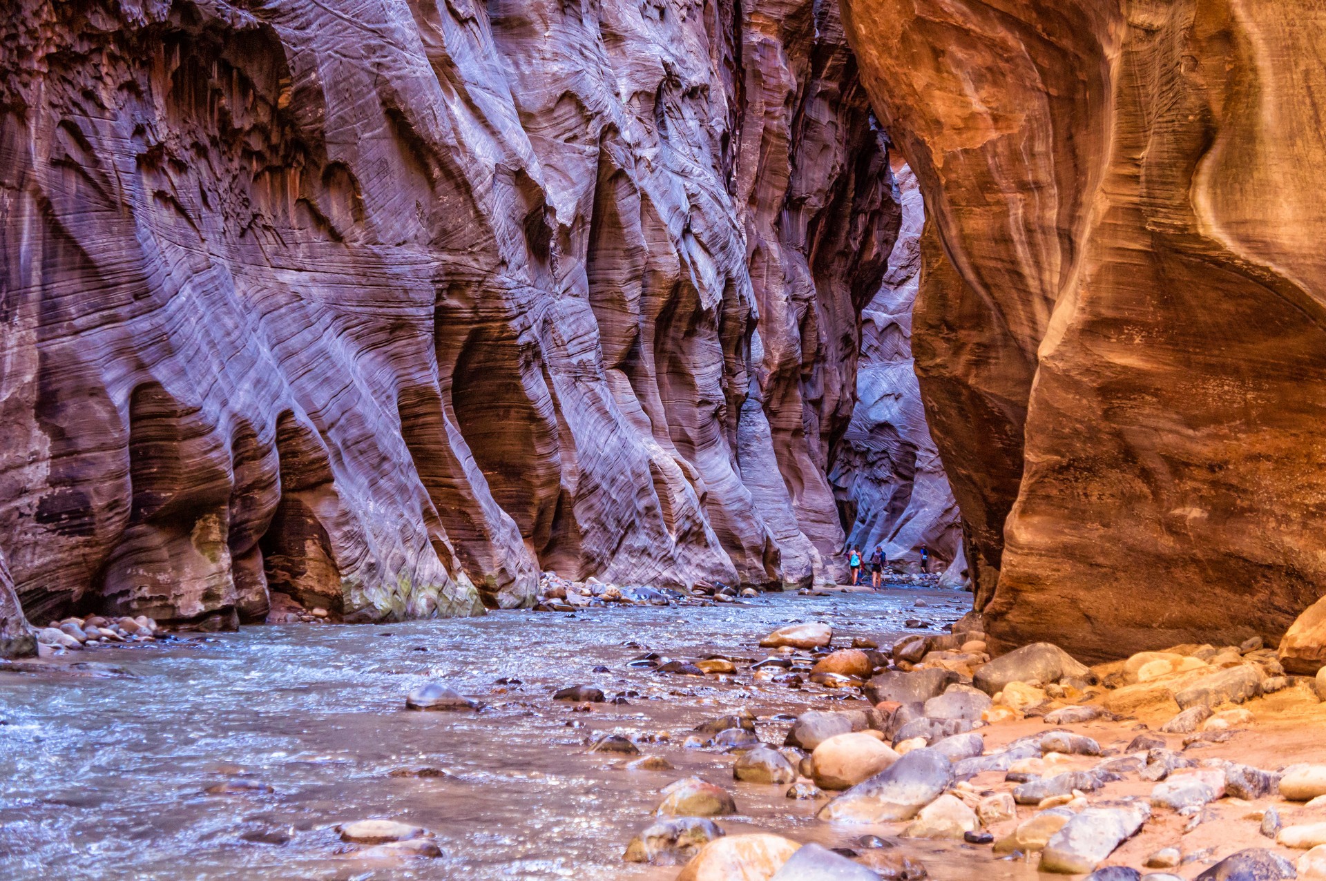 Zion Narrows